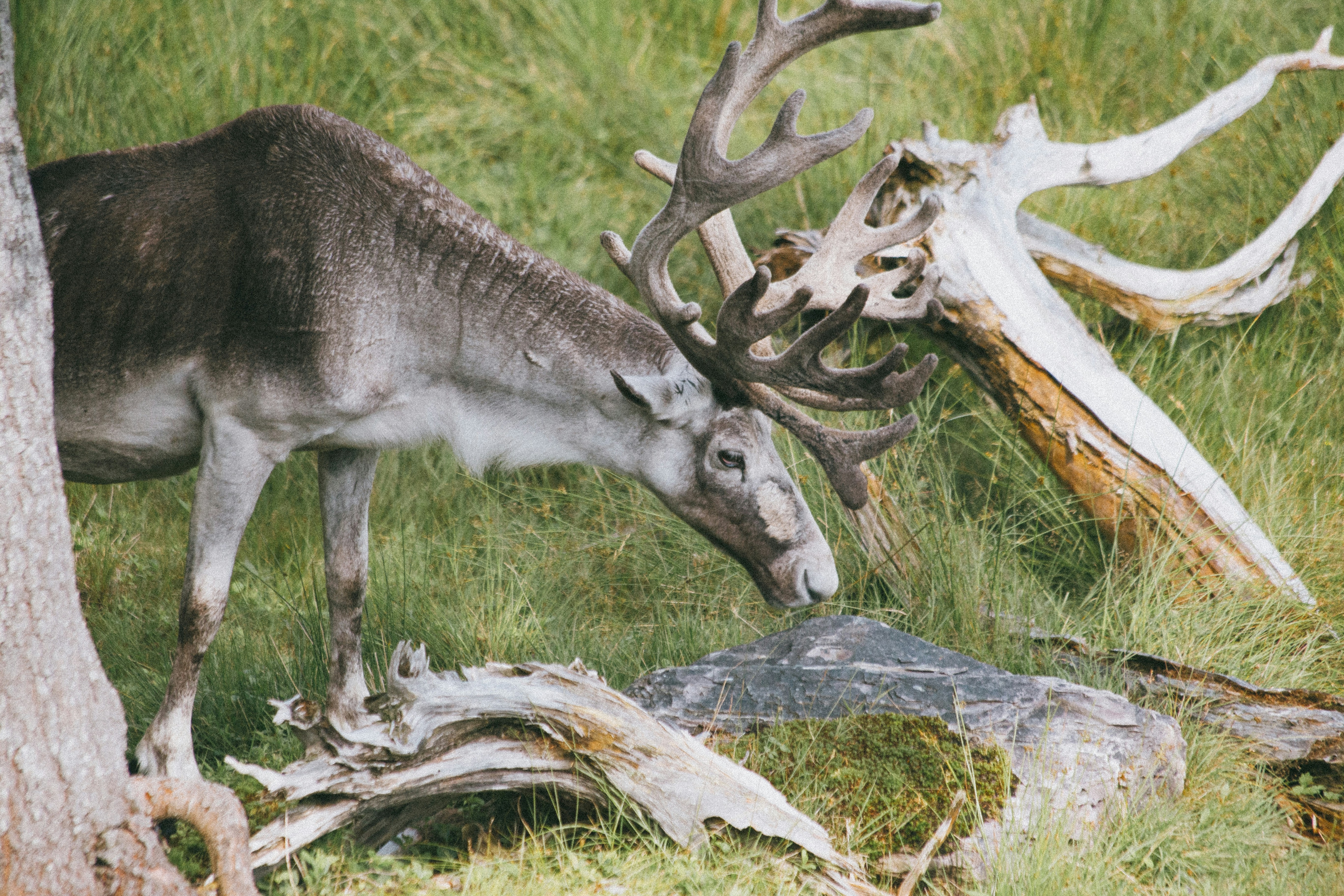 Photo by introspectivedsgn