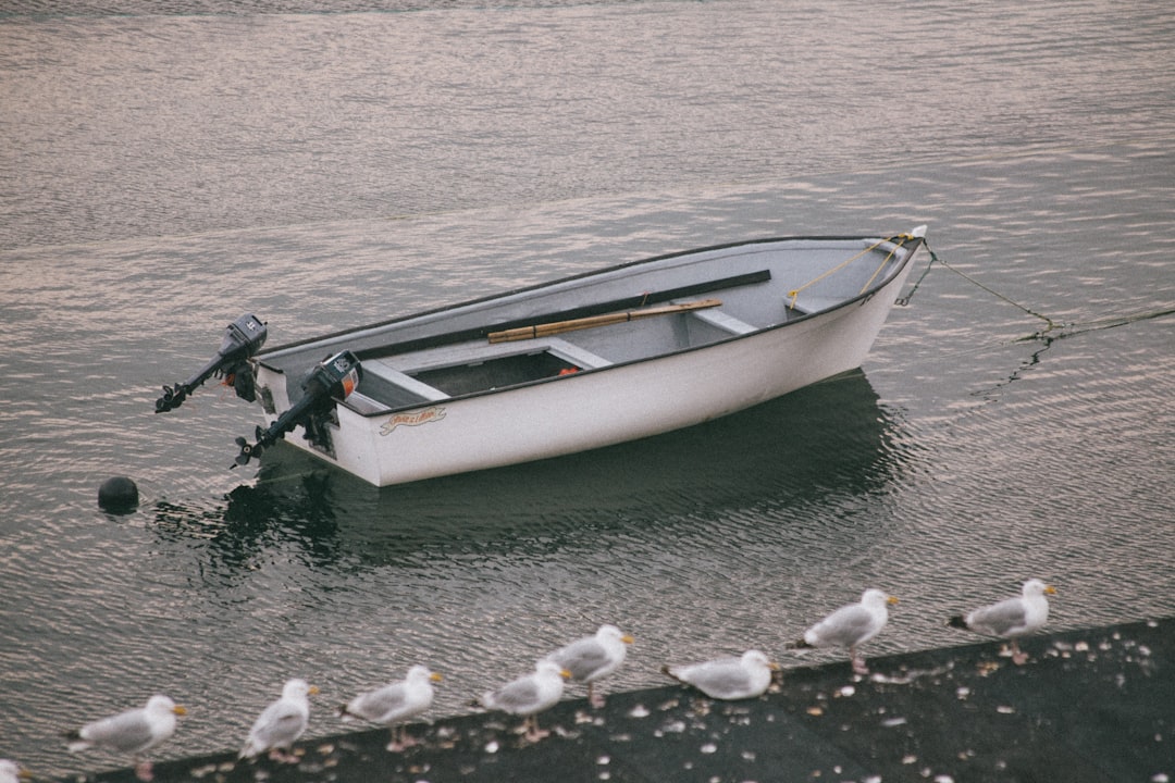 white and black boat on water during daytime