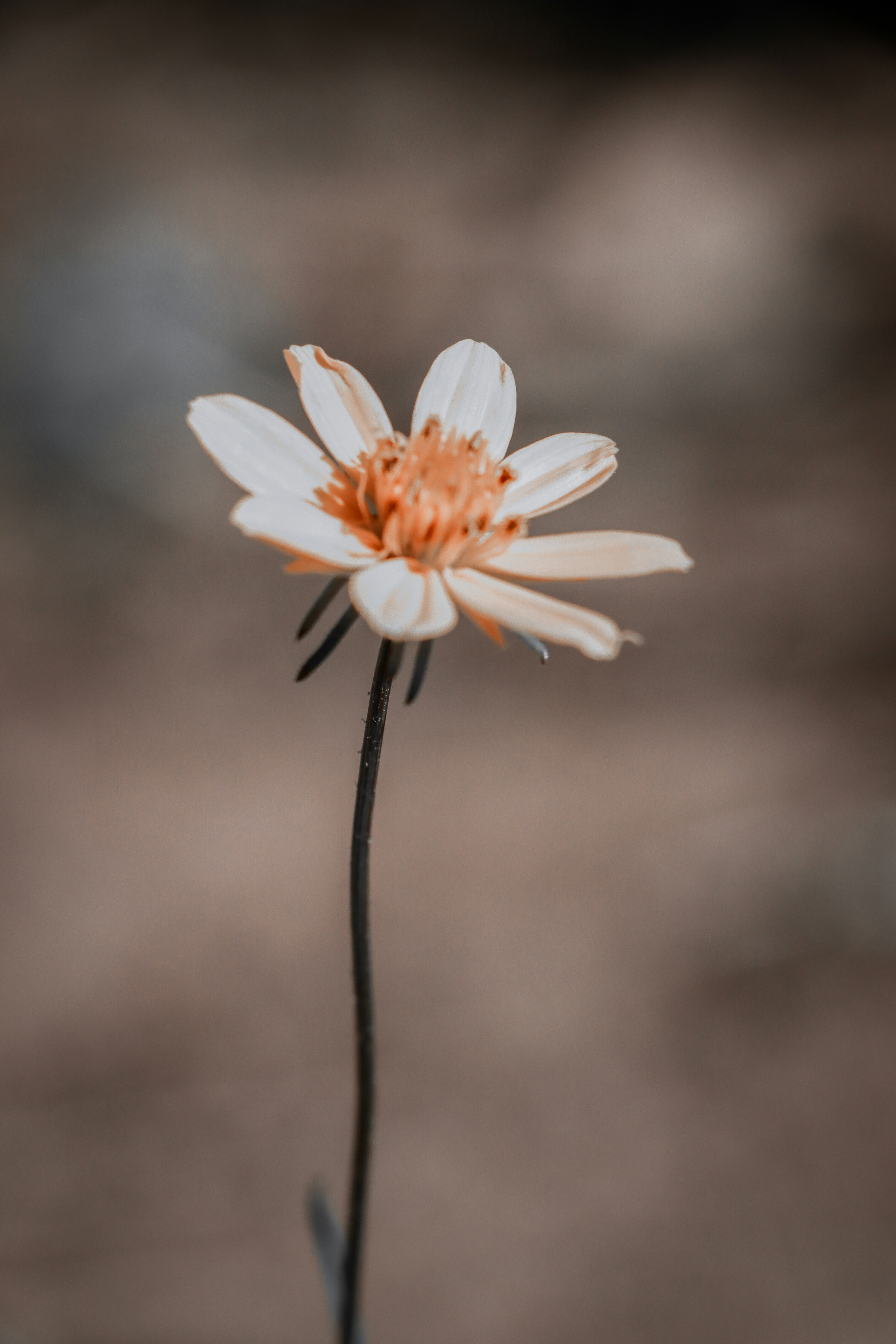 Photo by _philip_elia_