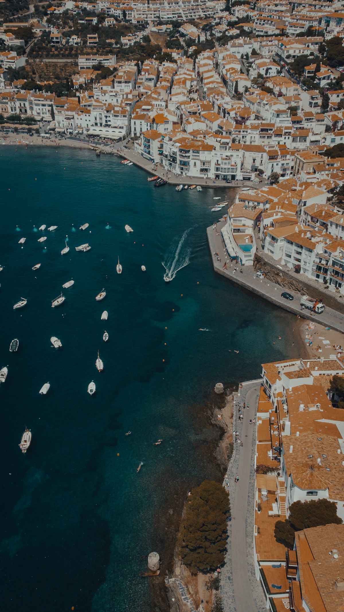 Aerial view of the white village of Cadaqués around its bay
