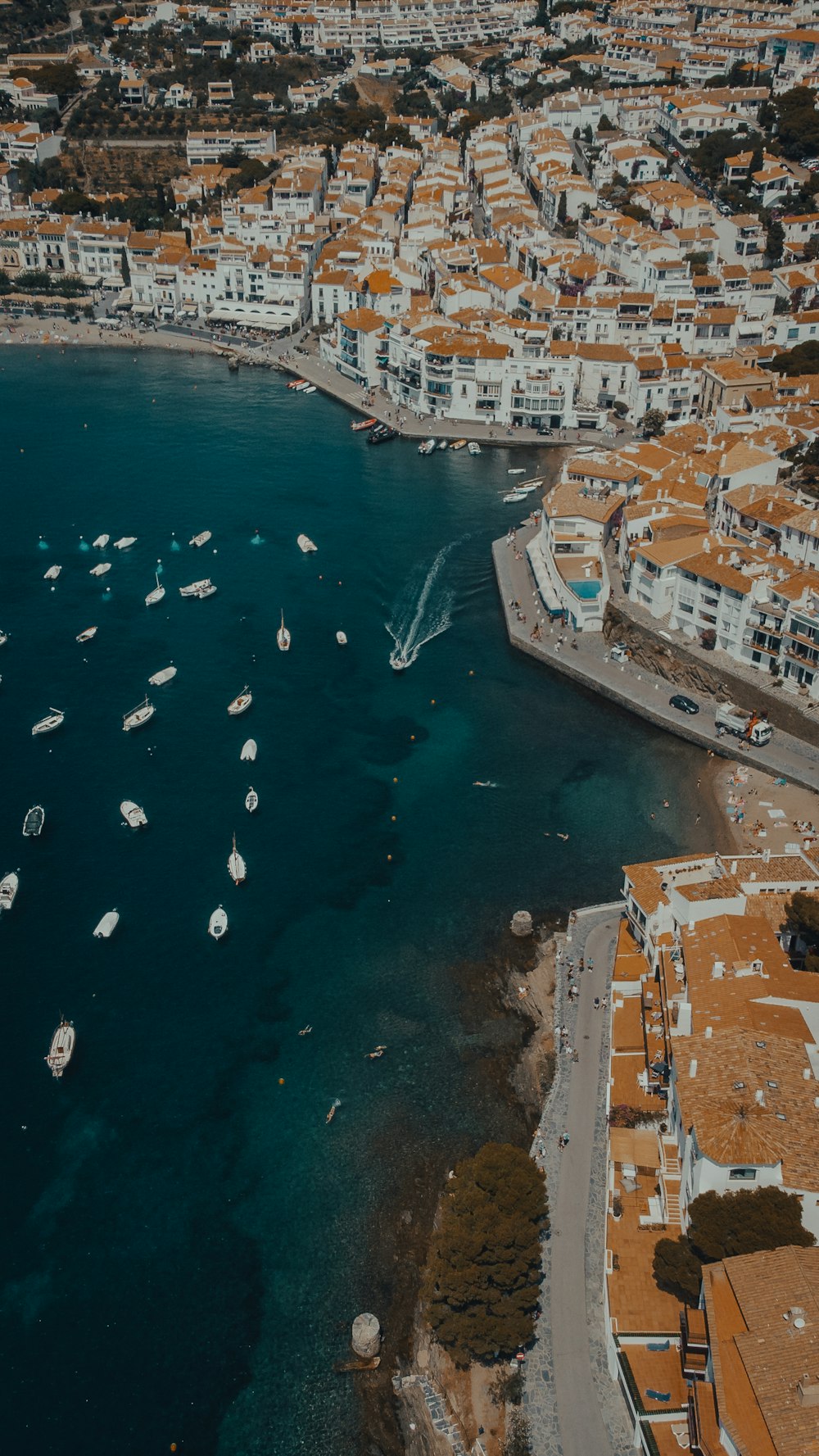 aerial view of city buildings near body of water during daytime