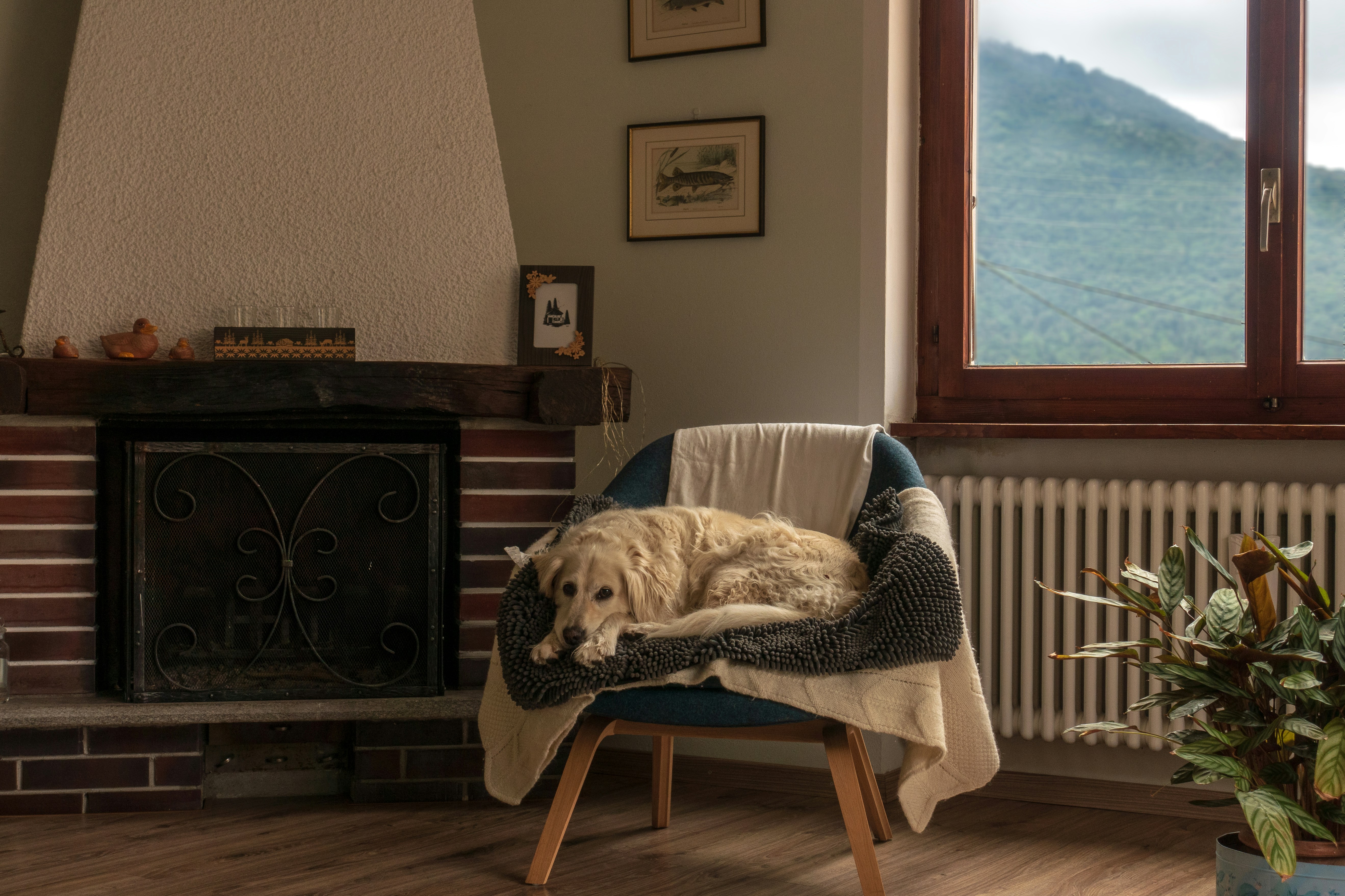 A warm, dimly lit living room with plush blankets, a mug of tea, and a tablet displaying the EasyHome management dashboard on a wooden coffee table.