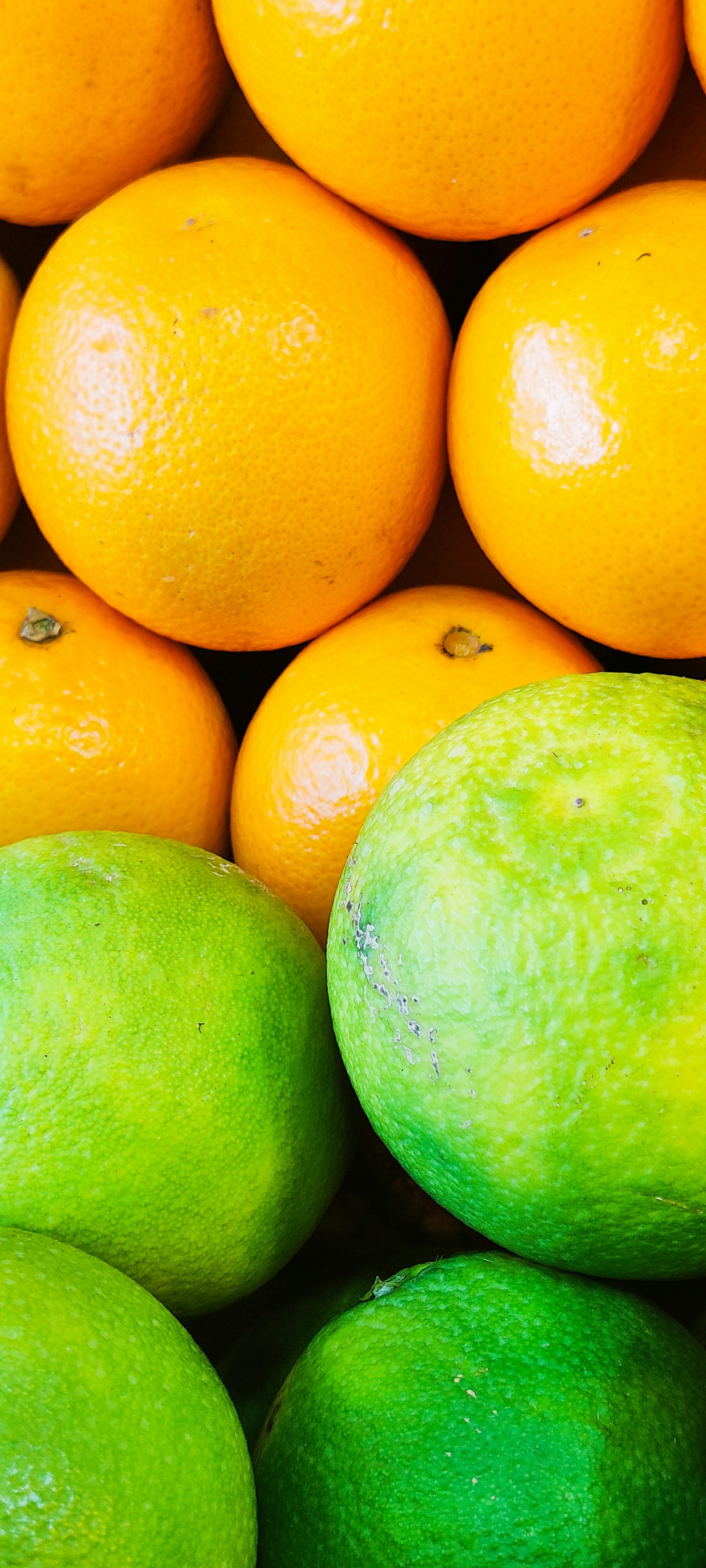 Photo by codingsince21