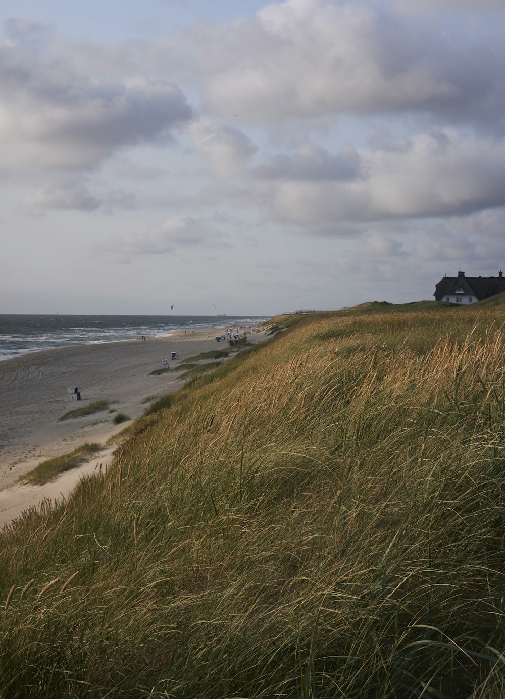 green grass field near sea under white clouds during daytime