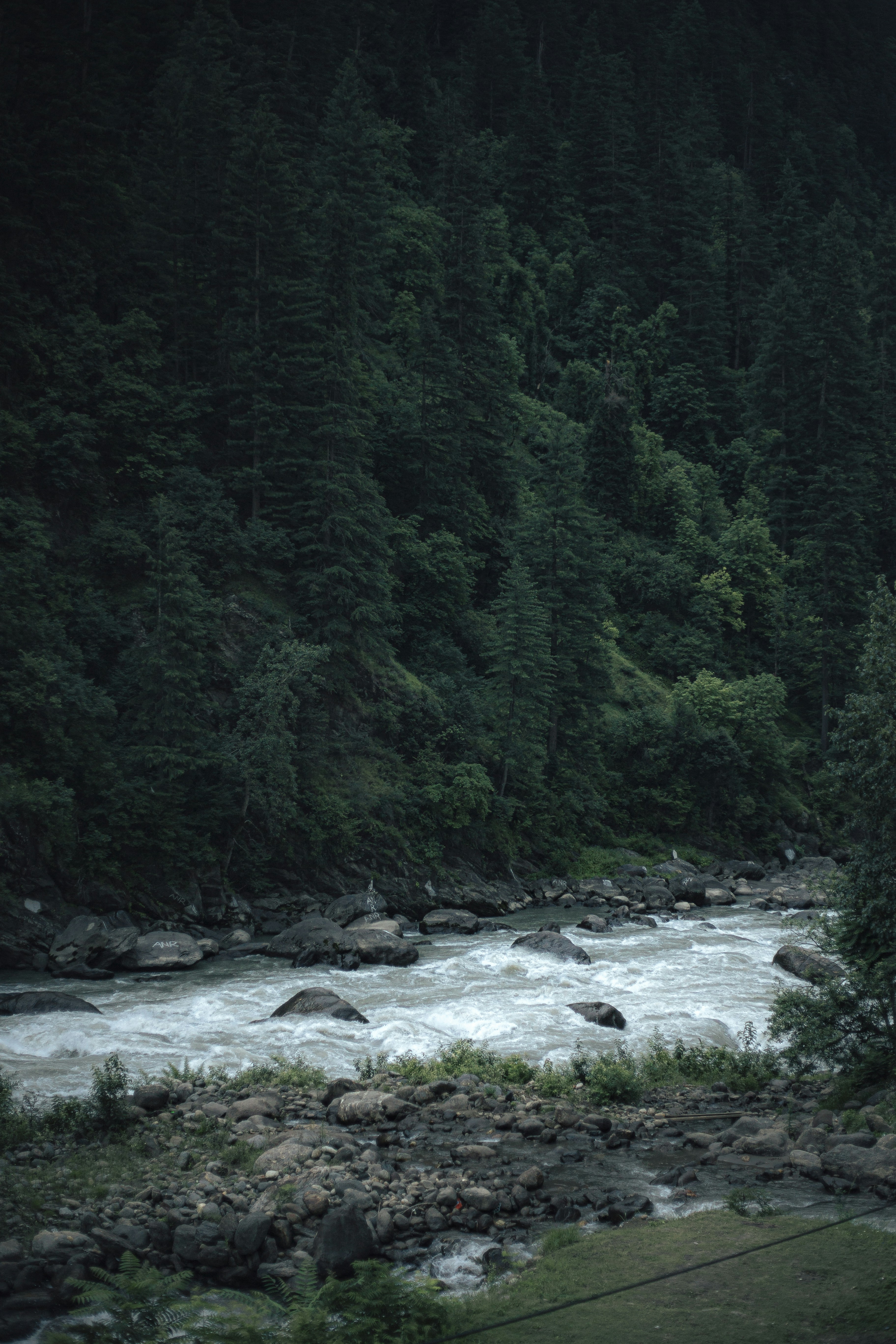 Photo by aliclicks306