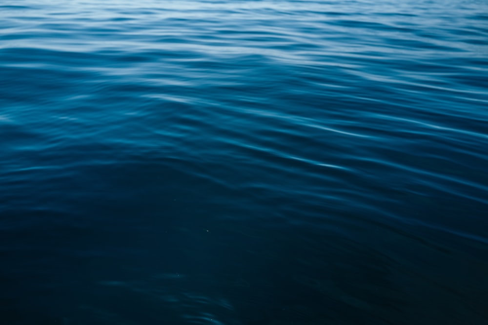 blue body of water during daytime