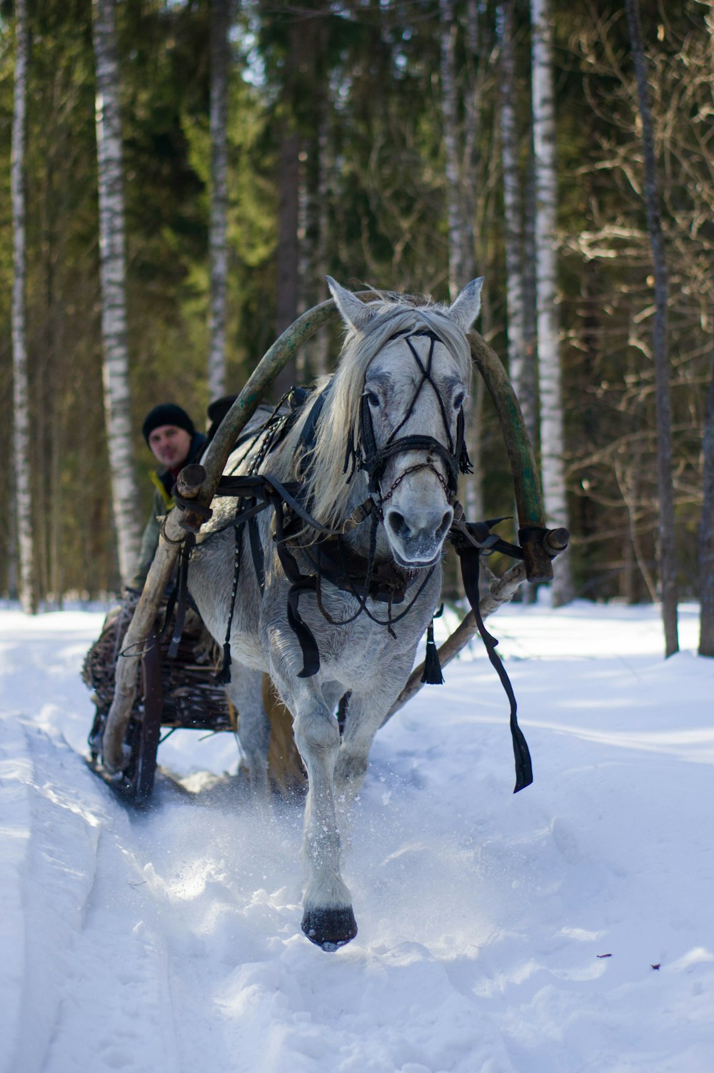 man riding horse on snow covered ground during daytime