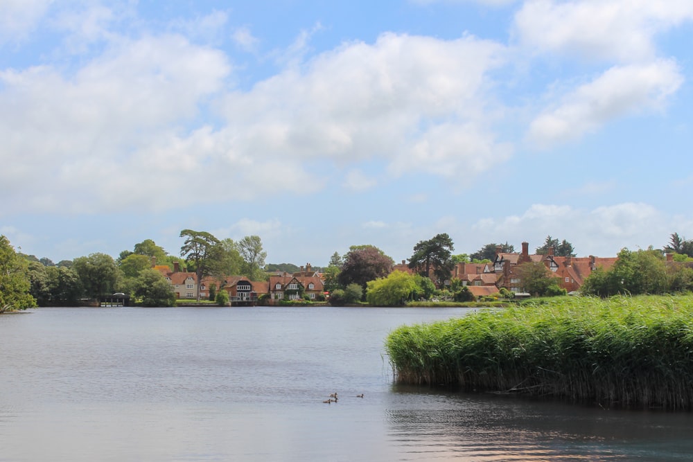 green trees beside body of water under white clouds and blue sky during daytime