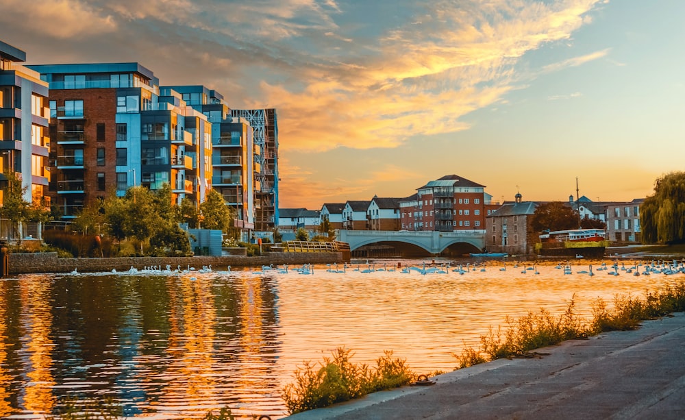 body of water near city buildings during daytime