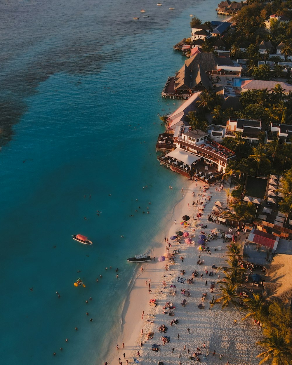 aerial view of people on beach during daytime