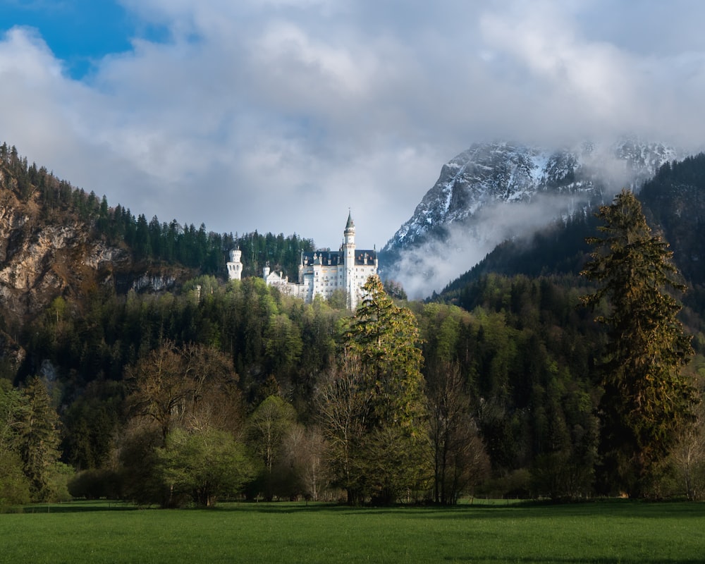 Grüne Bäume in der Nähe von weißen und grauen Bergen unter blauem Himmel während des Tages