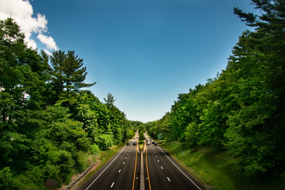 Carretera de asfalto negro entre árboles verdes bajo cielo azul durante el día