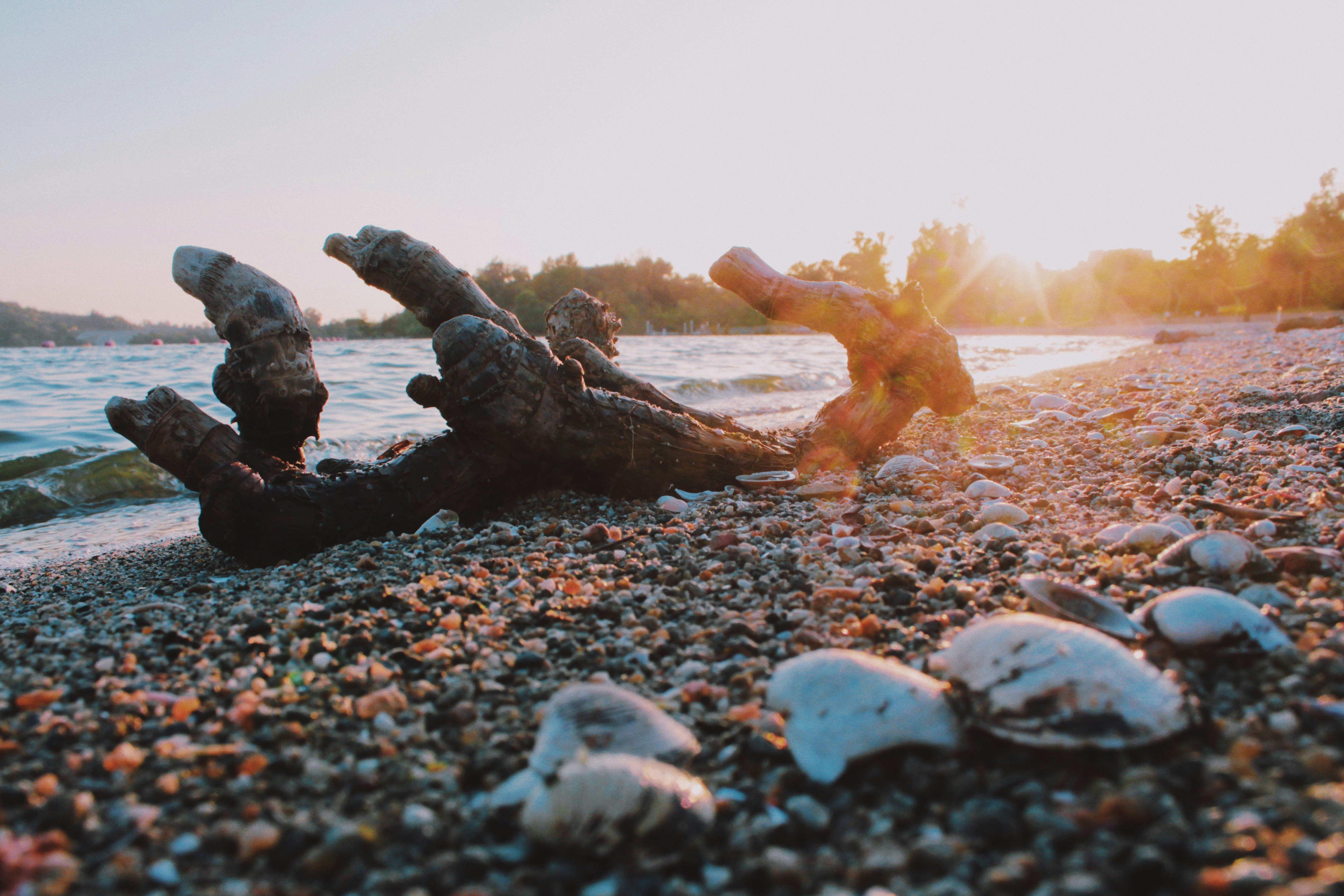 Photo by hesterqiang