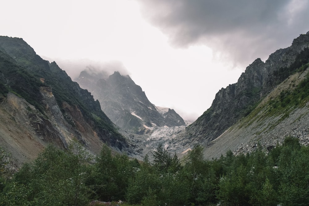 green trees on mountain under white sky during daytime