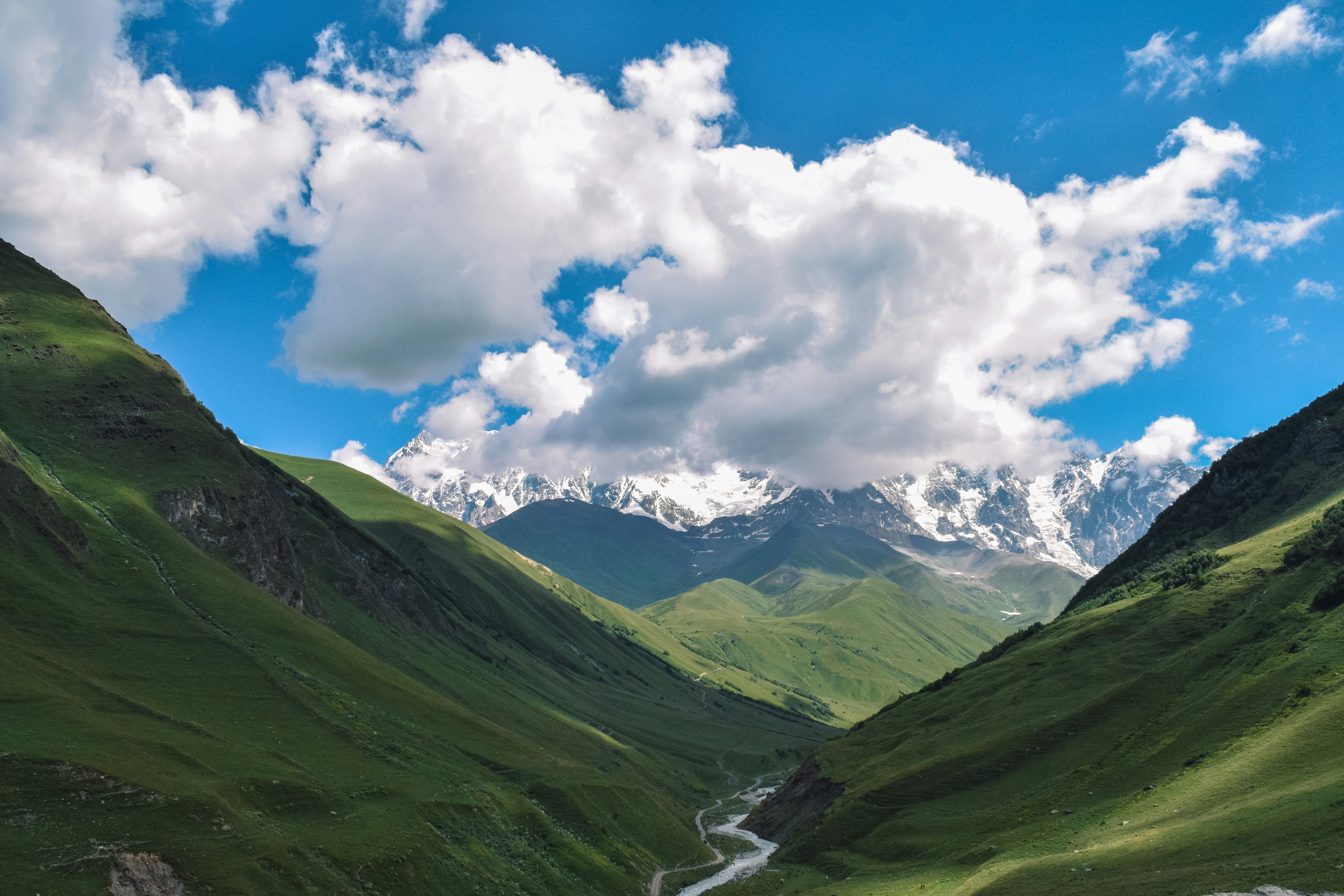 Photo by darya_tryfanava