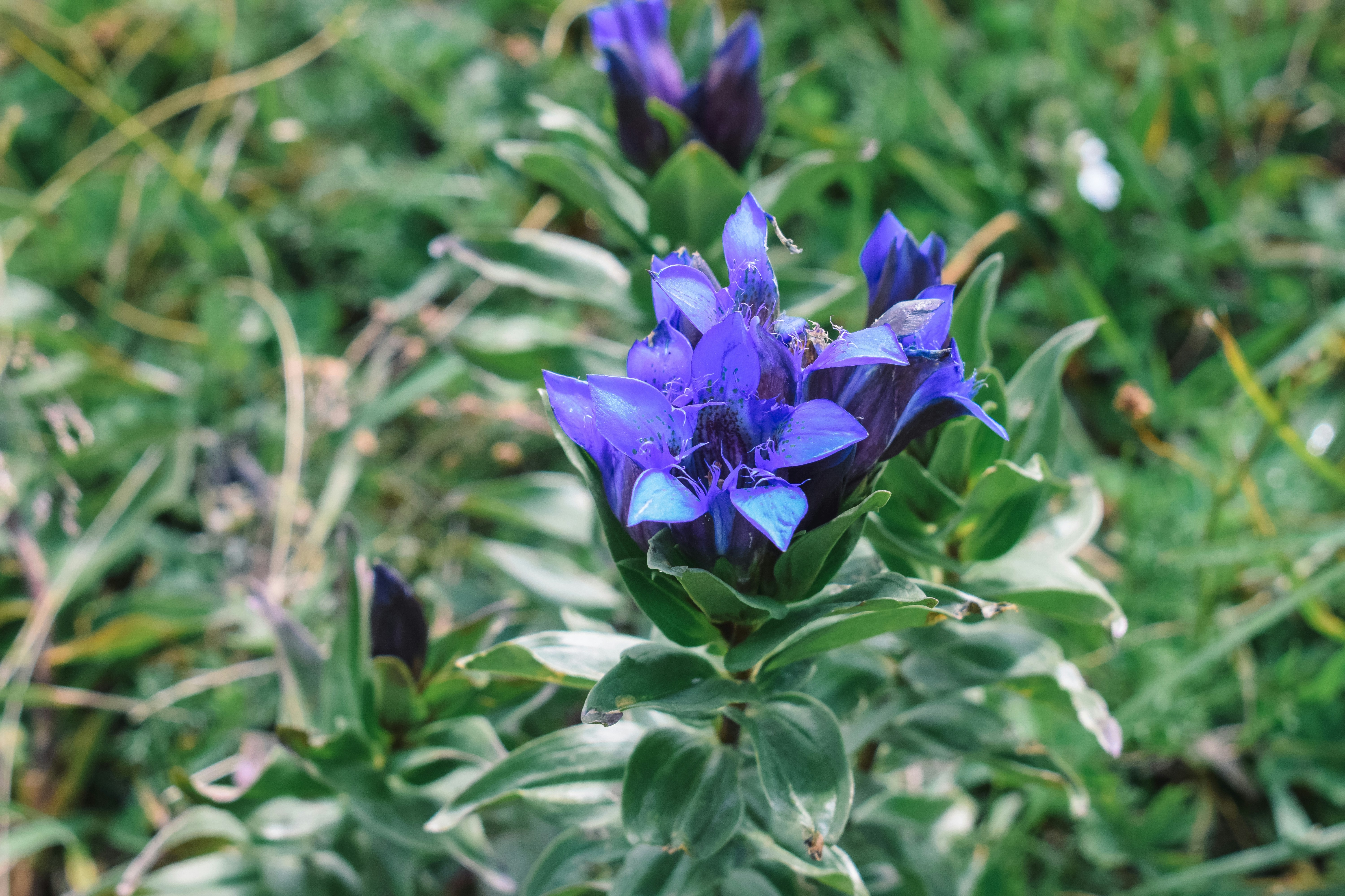 Photo by darya_tryfanava