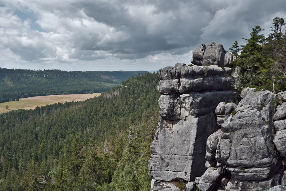 gray rock formation near green trees under white clouds during daytime