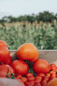 A smiling farmer holding a crate of ripe tomatoes in a sunny field.