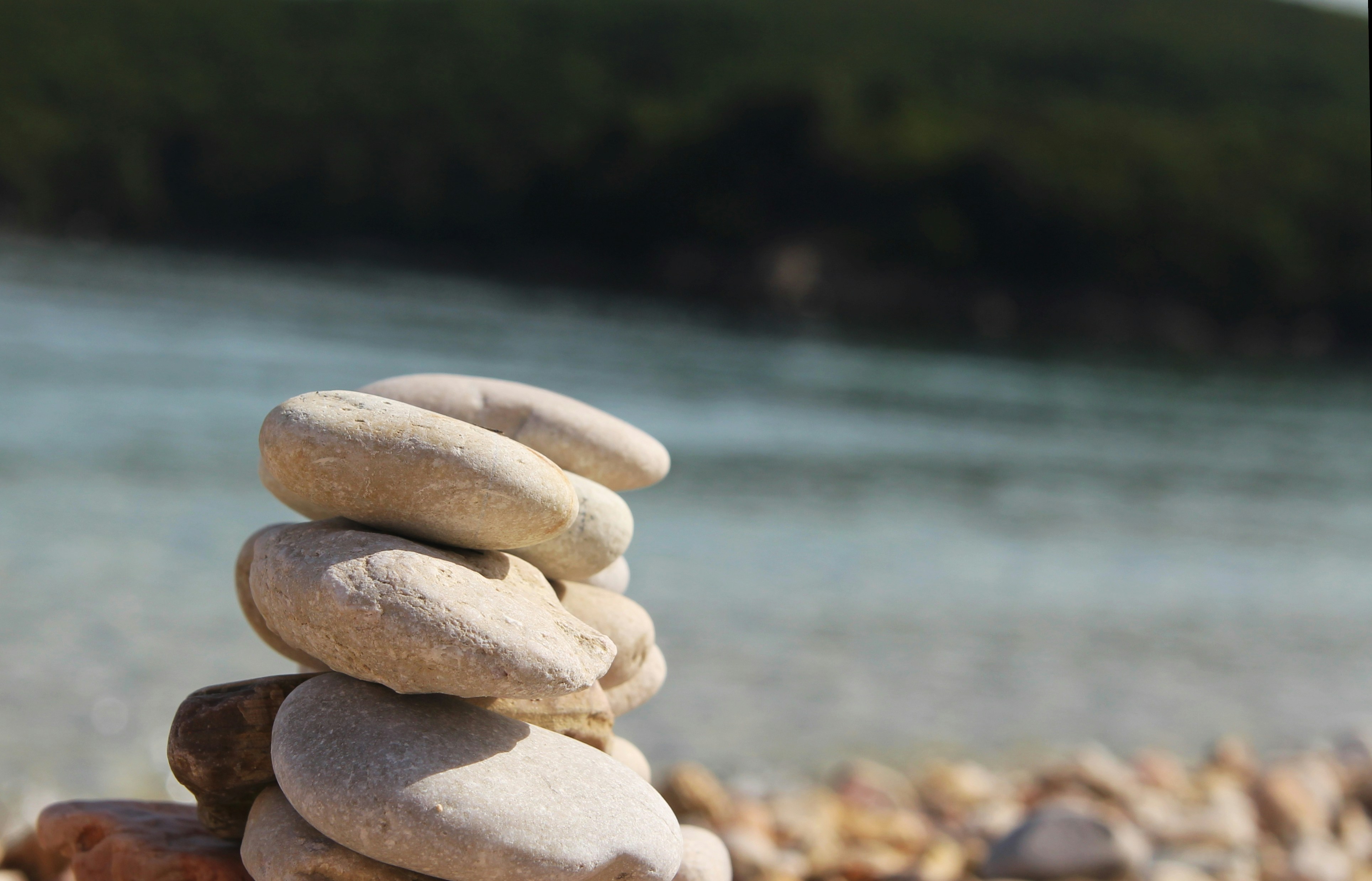 Photo by tudor_photography