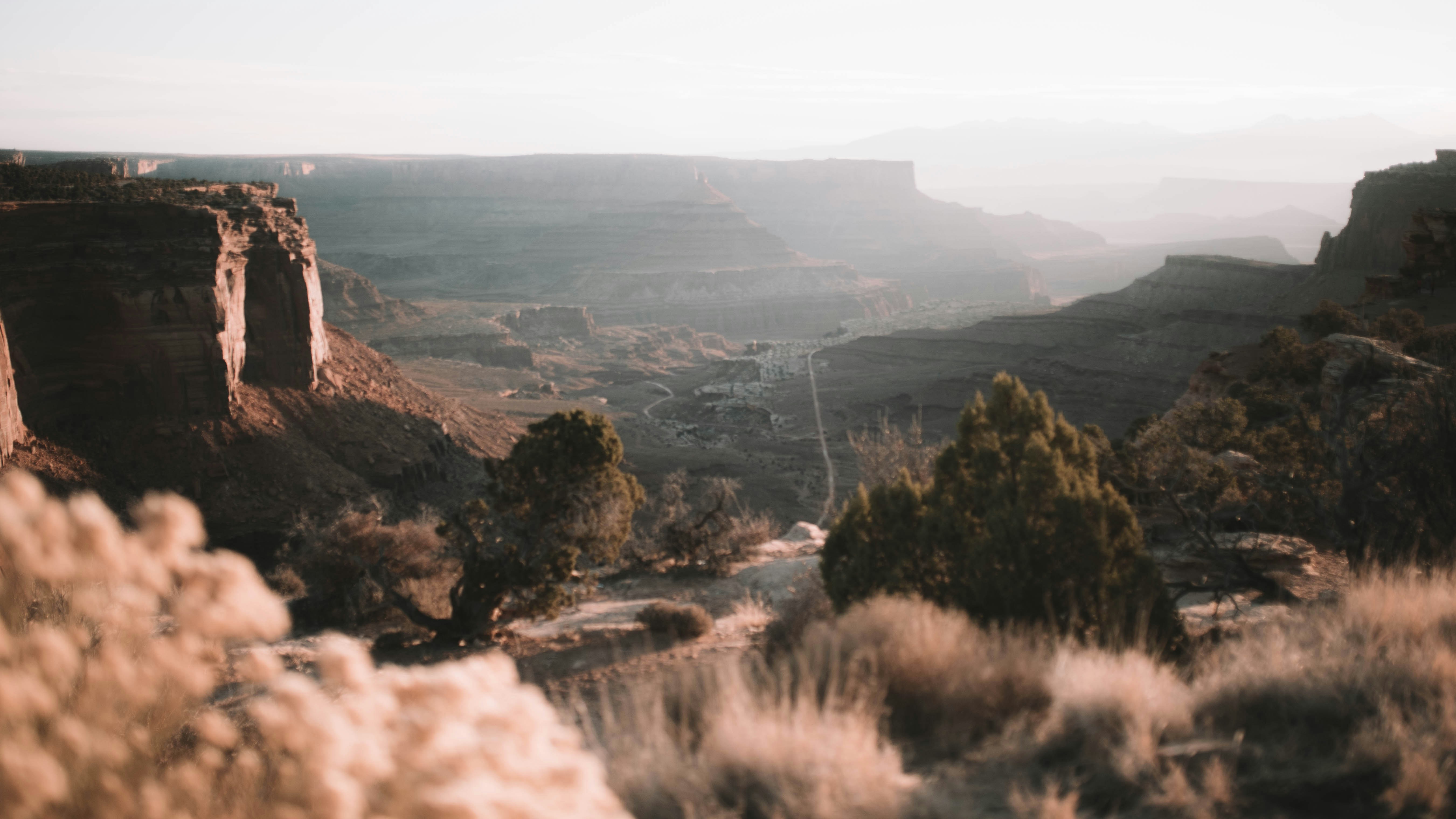 Canyonlands (Island in the Sky) - 1 Day