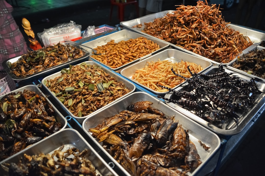 brown and white food on stainless steel tray