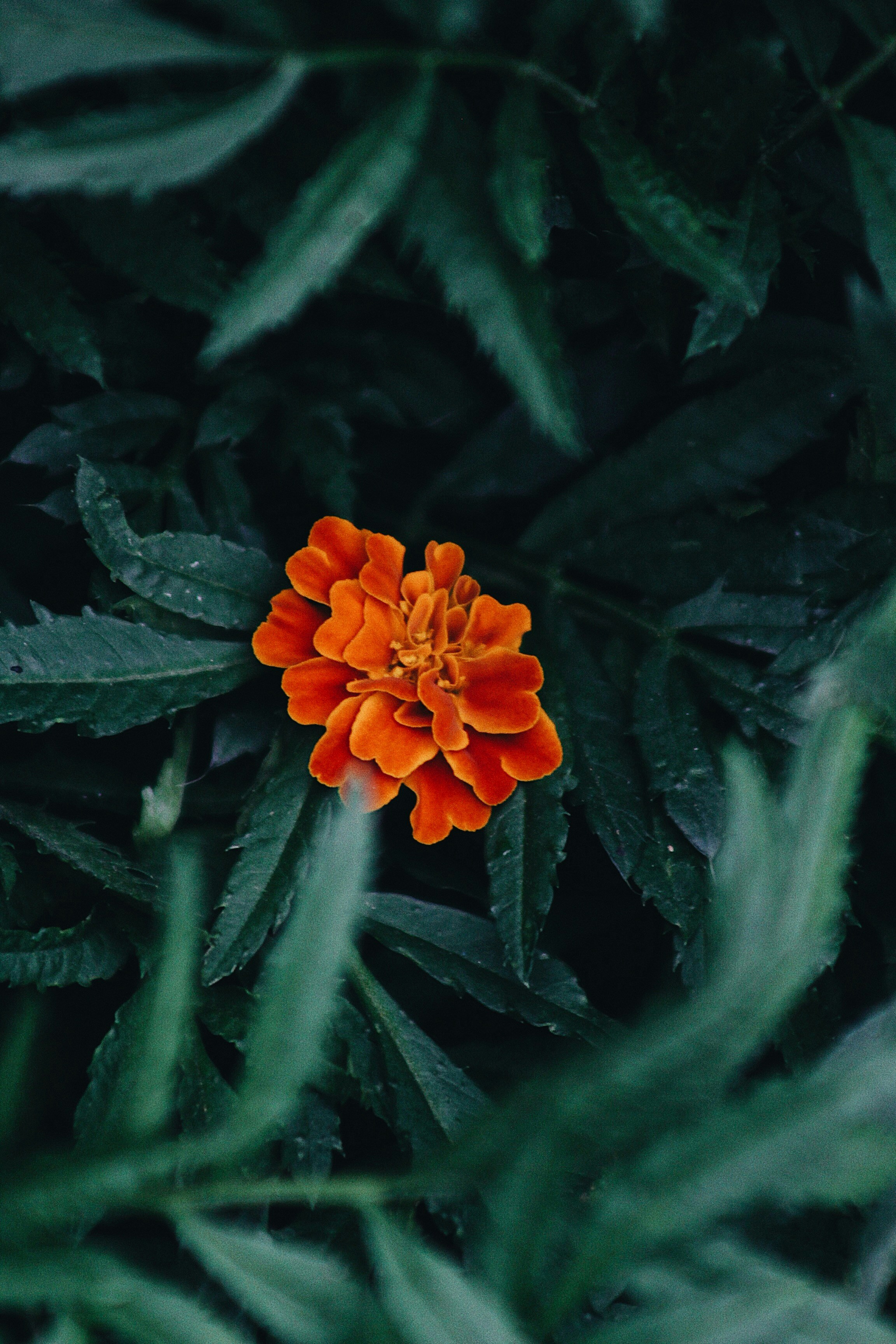 Photo by ahsenarslln