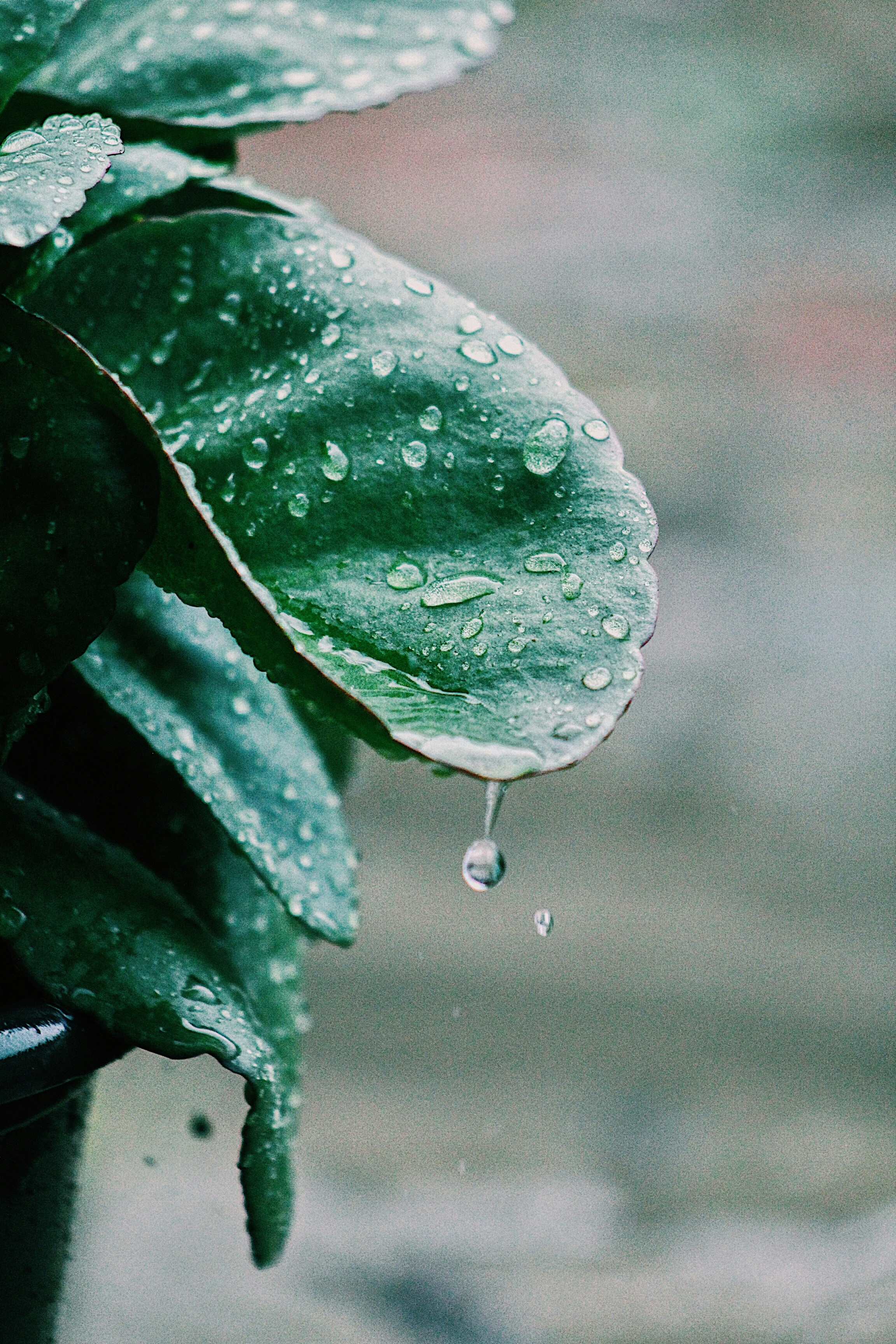 Photo by ahsenarslln