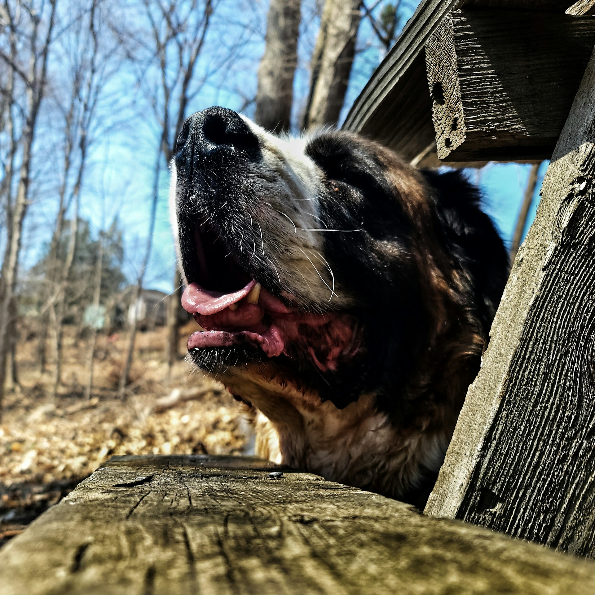 woman wearing yellow long-sleeved dress under white clouds and blue sky during daytime