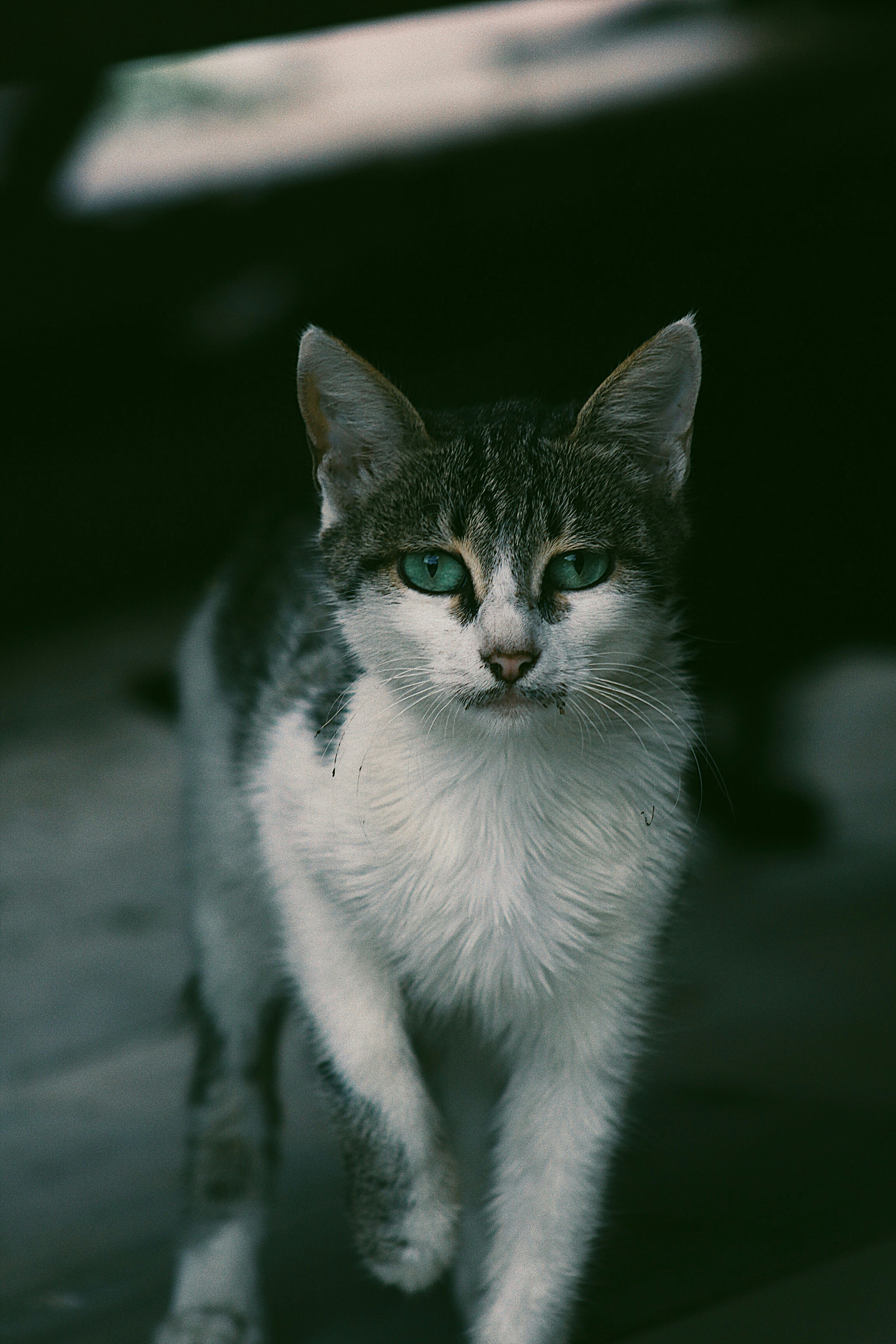 Photo by ahsenarslln