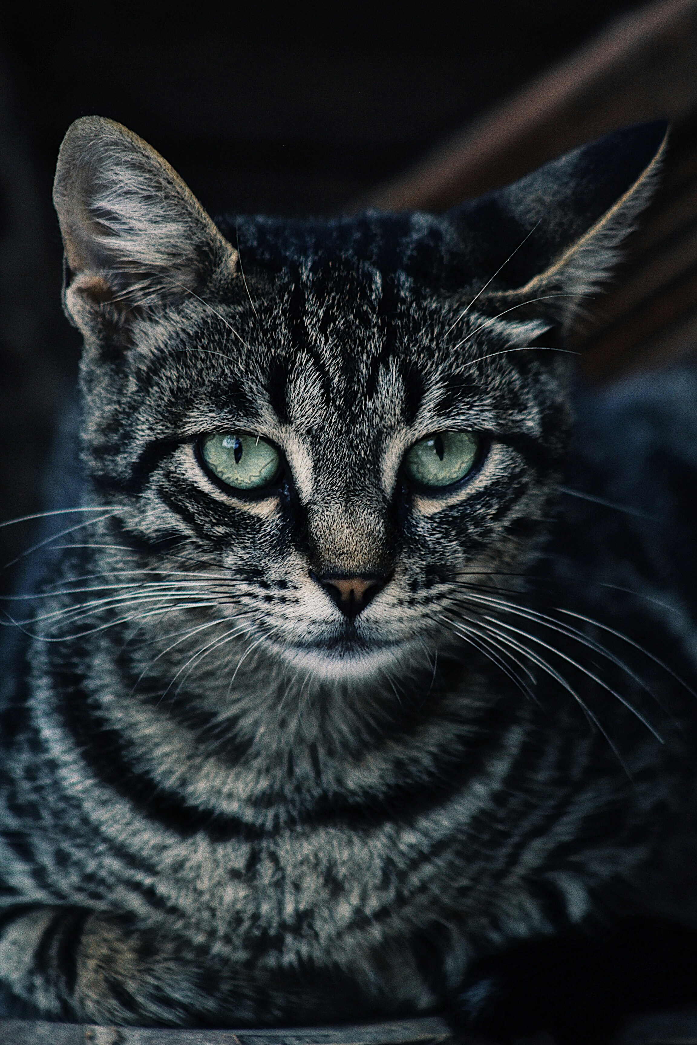 Photo by ahsenarslln