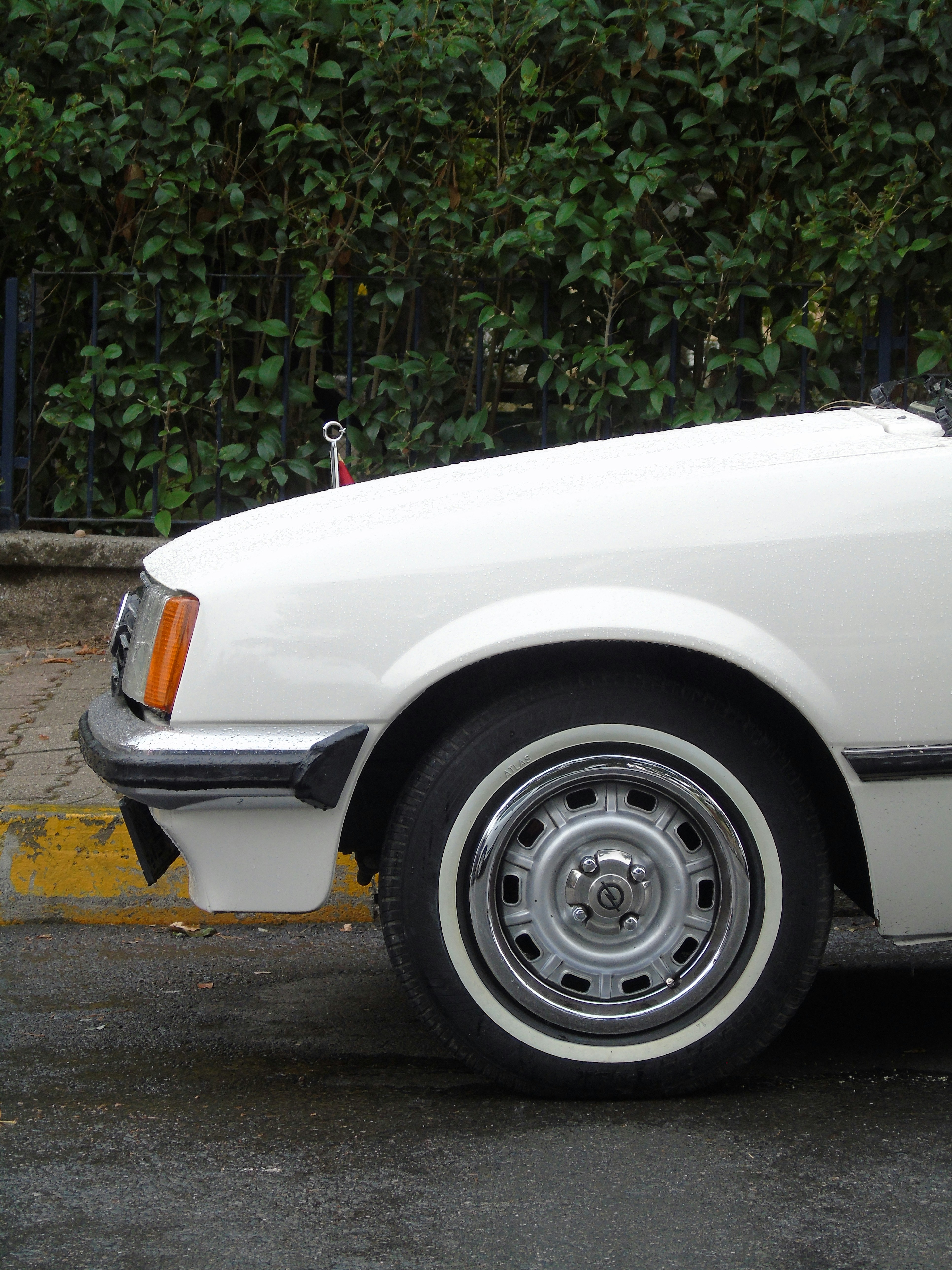 Photo by fatih_aksan