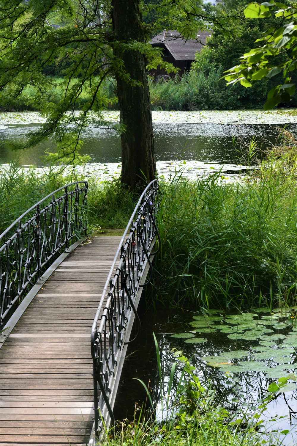 Braune Holzbrücke über den Fluss