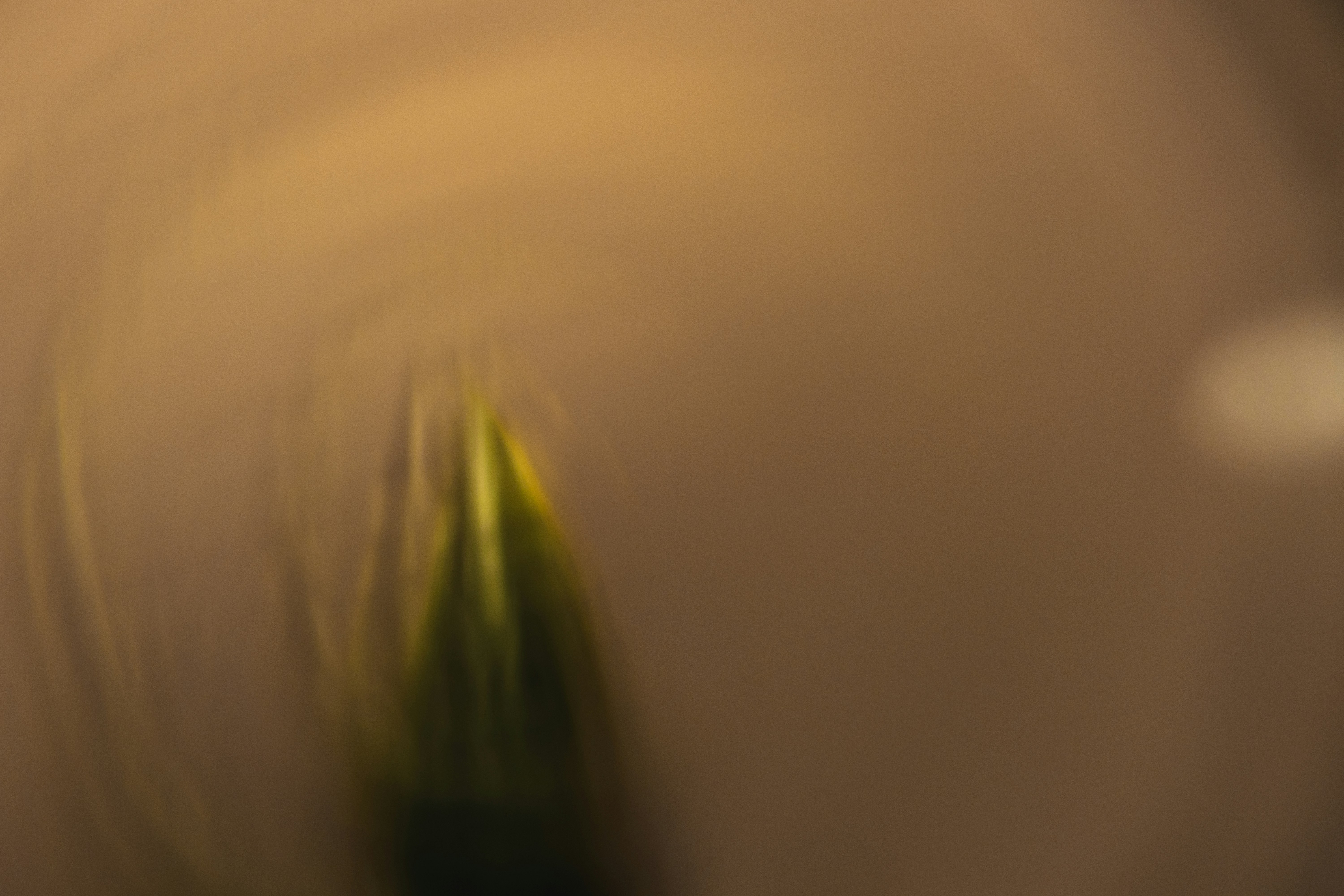 Photo by greg_rosenke