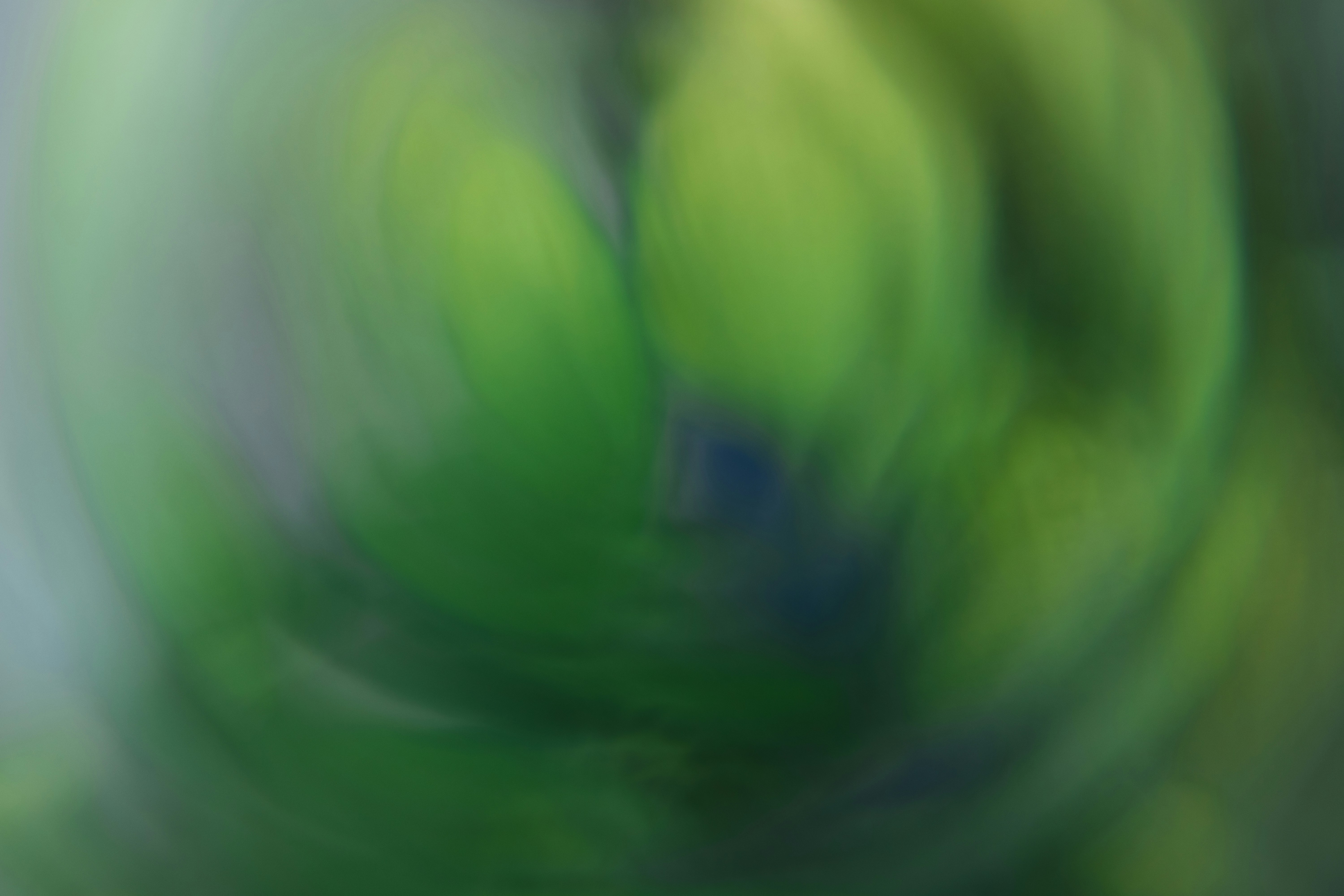 Photo by greg_rosenke