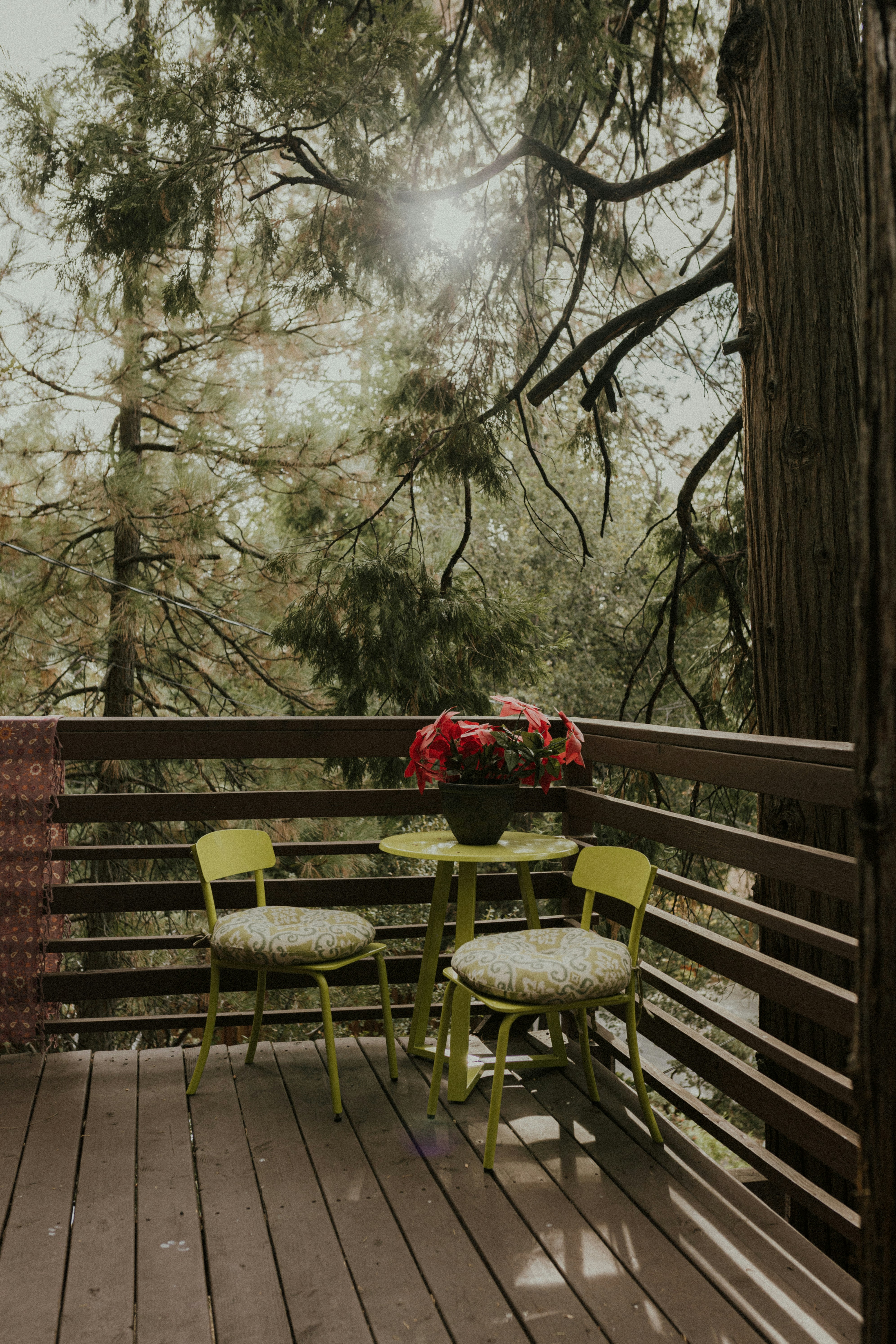 Photo by lorraineadelinephotography