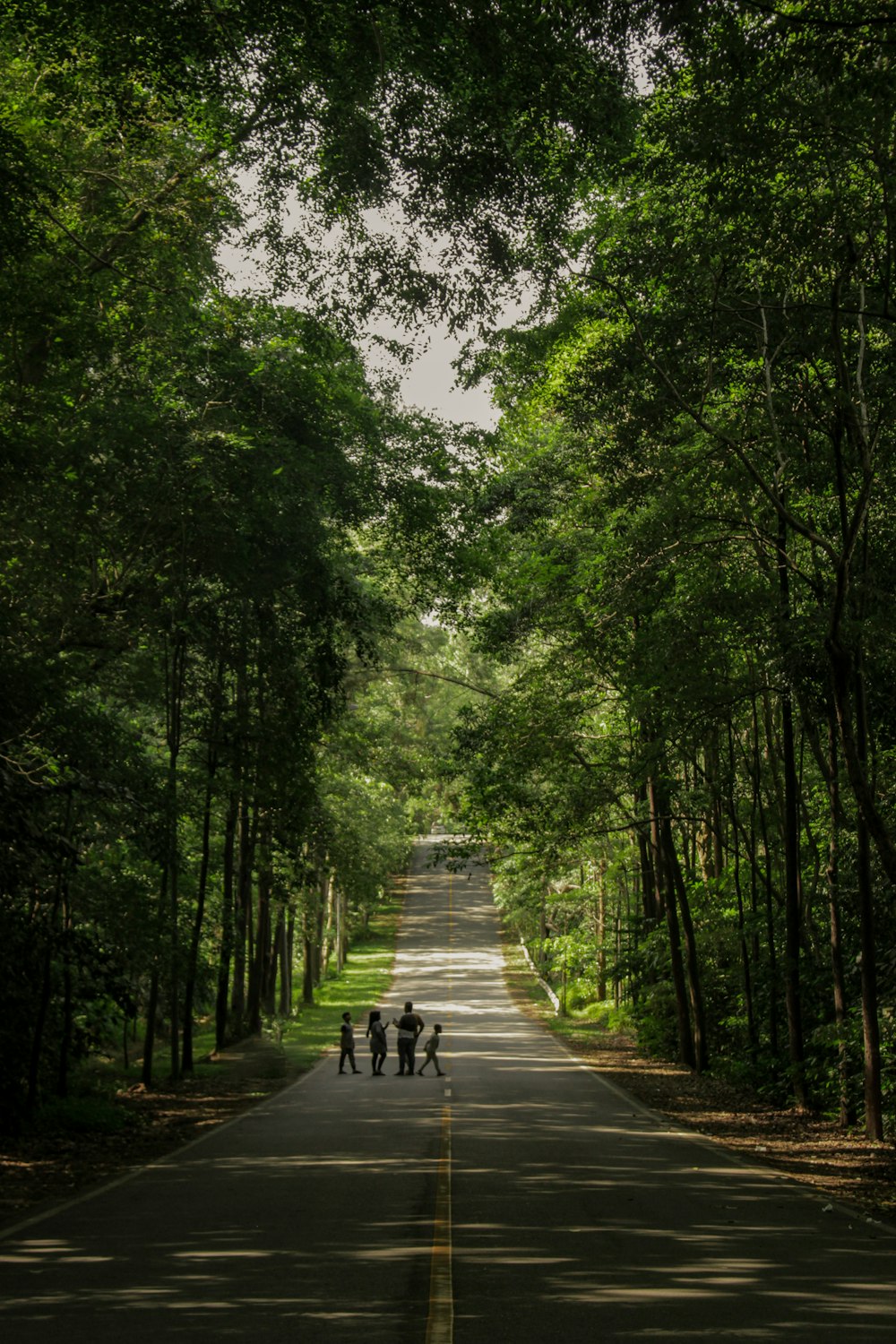 persone che camminano sul sentiero tra gli alberi verdi durante il giorno