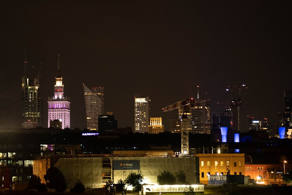 city skyline during night time