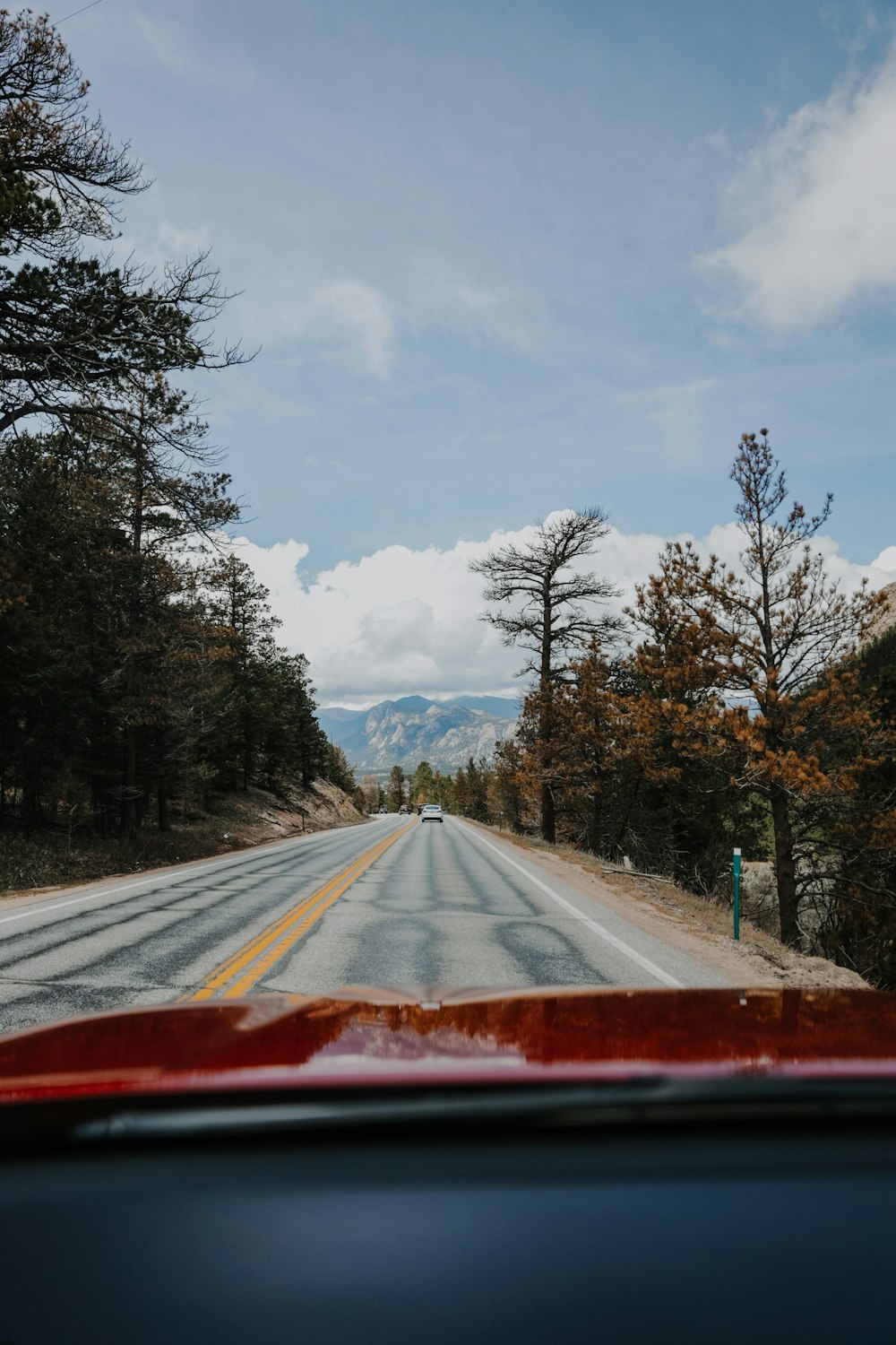 red and white road between trees under white clouds during daytime