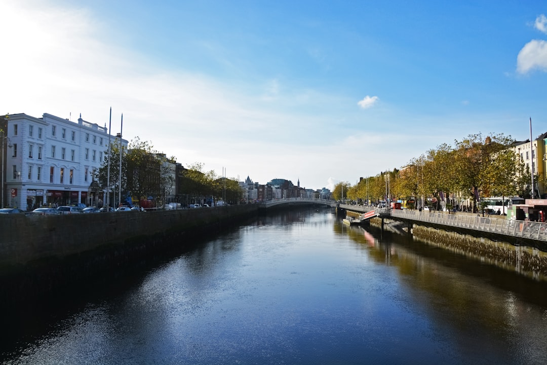 river between trees under blue sky during daytime