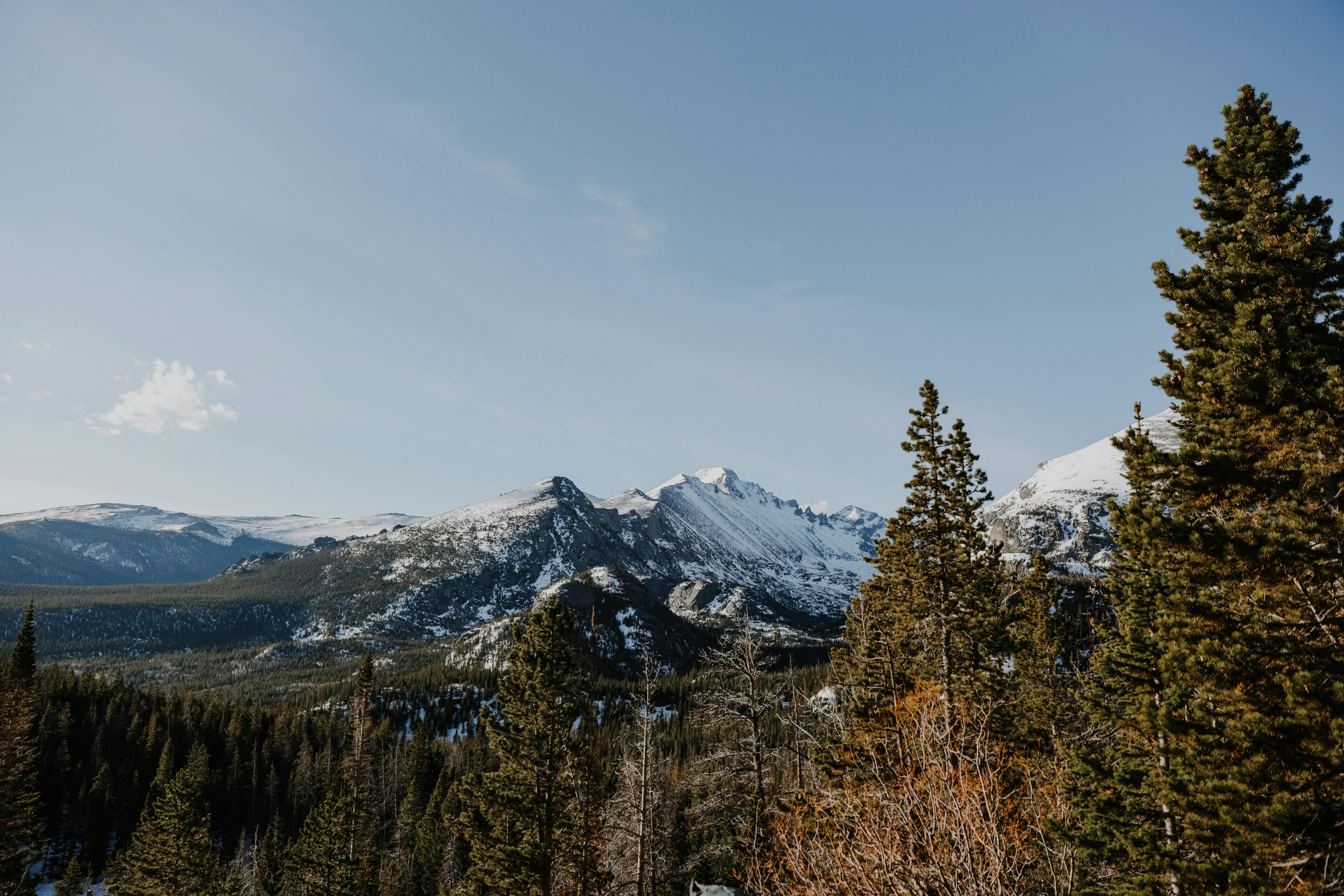 Photo by williamking_