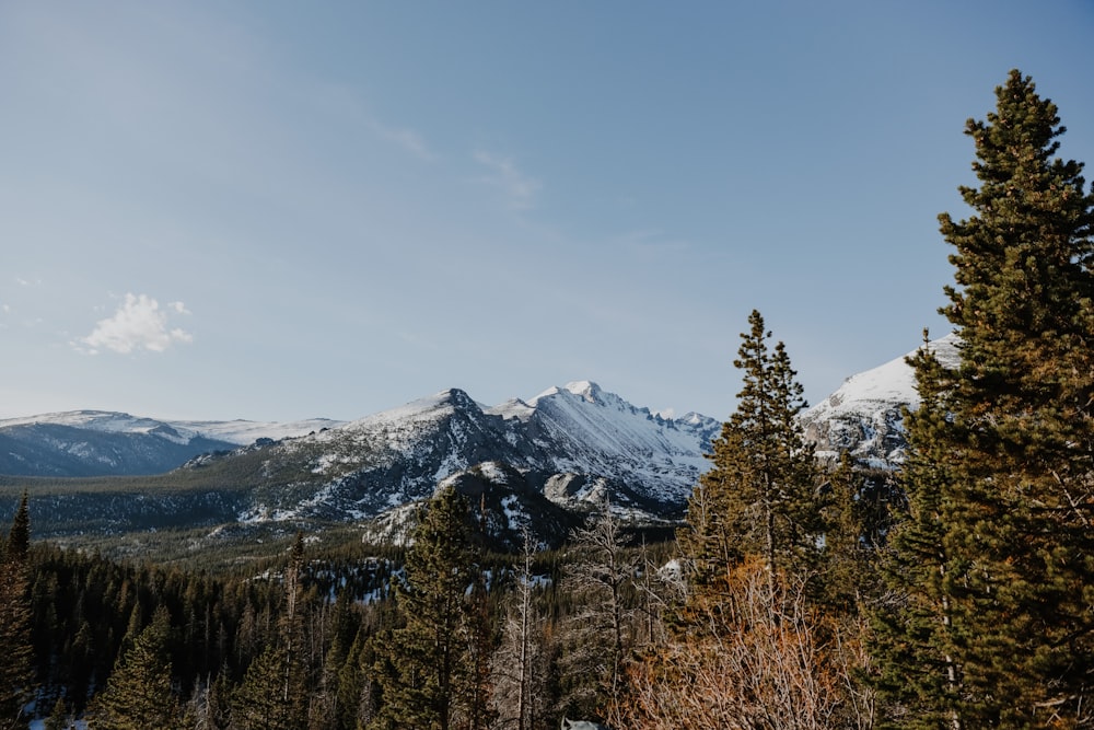 snow covered mountain under blue sky during daytime