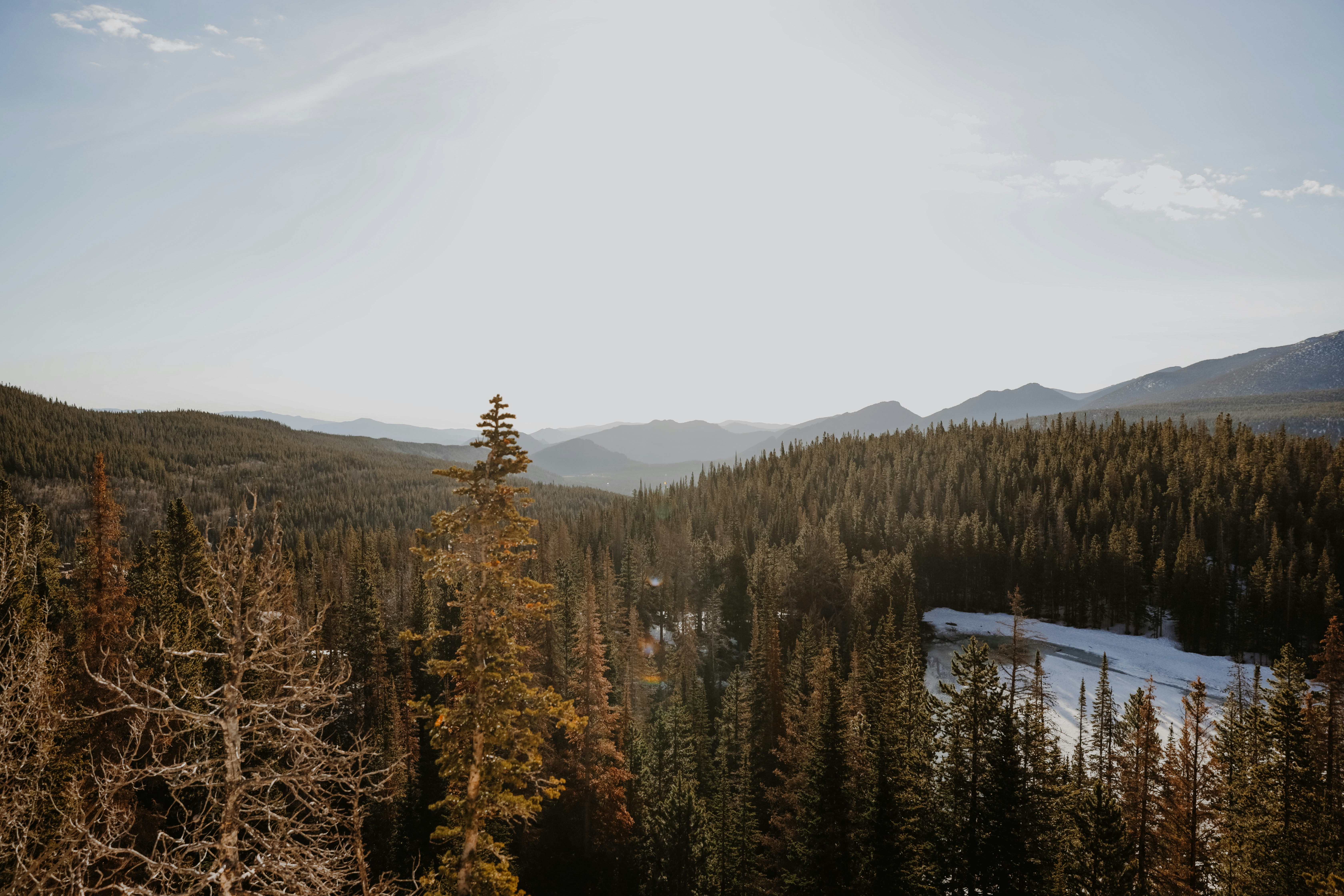 Photo by williamking_