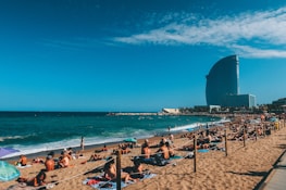 people on beach during daytime