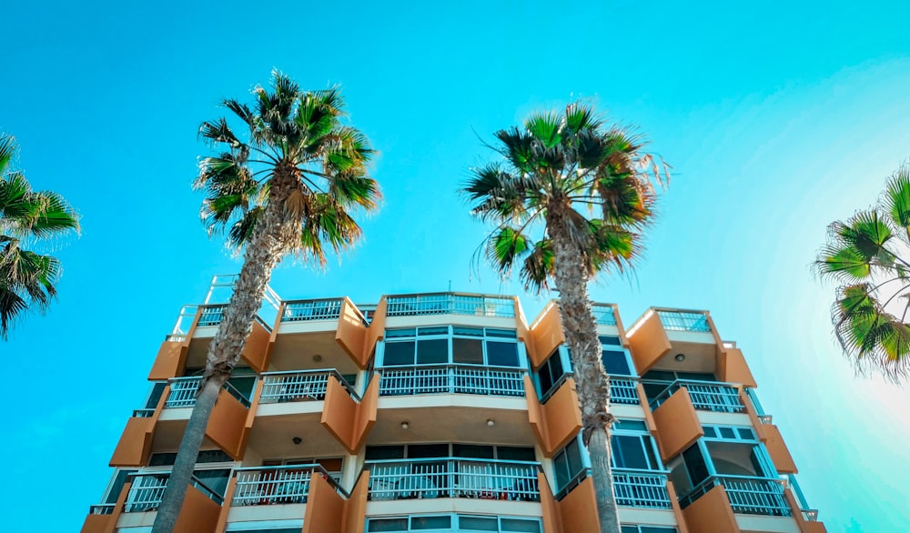 green palm tree near brown concrete building during daytime