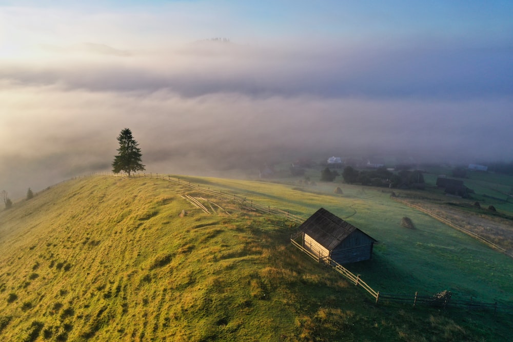 Champ d’herbe verte sous le ciel blanc pendant la journée