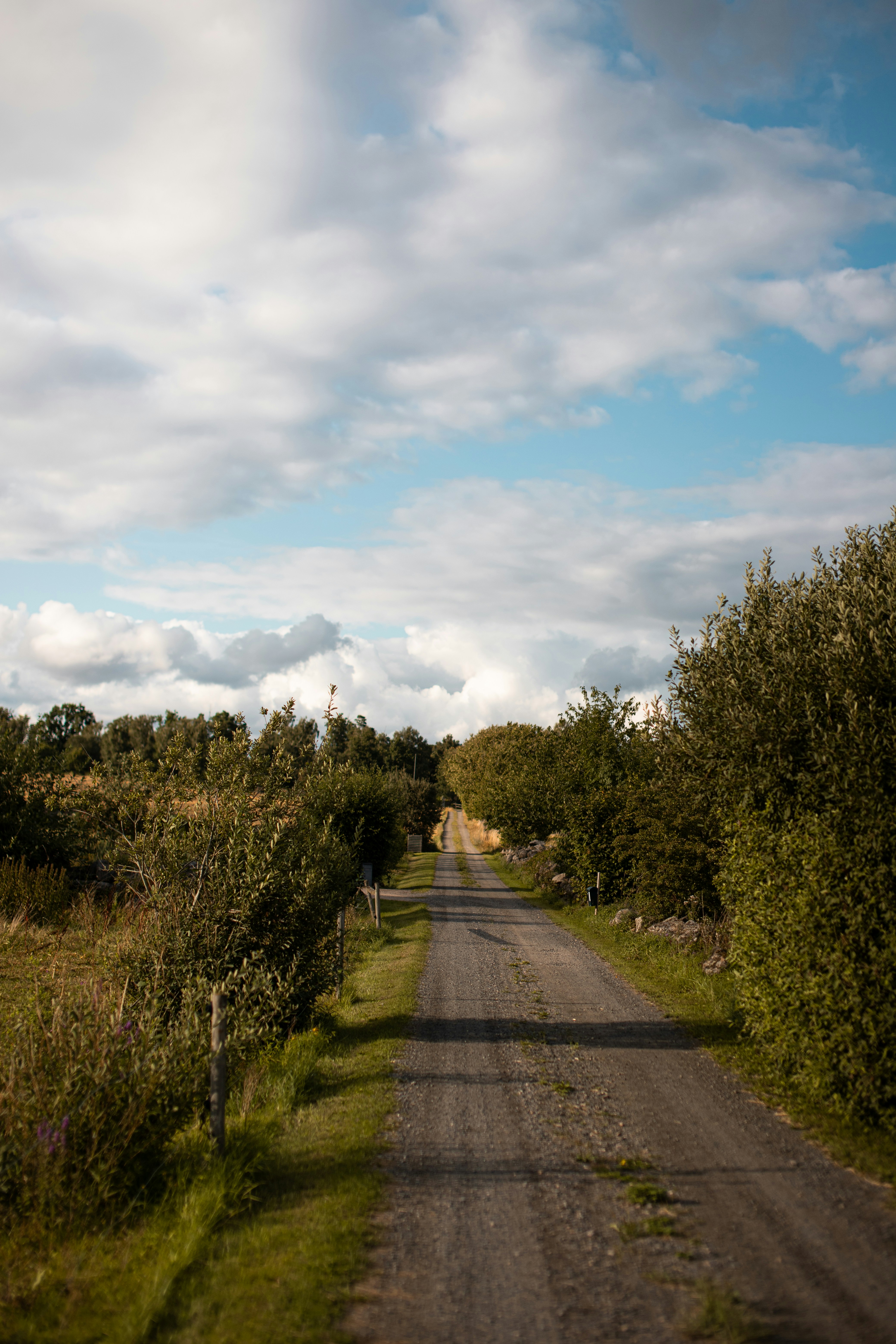 Photo by karlhornfeldt