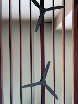 Two ceiling fans with three blades each are positioned vertically along wooden slats. The background features a pale green wall and a portion of the ceiling.