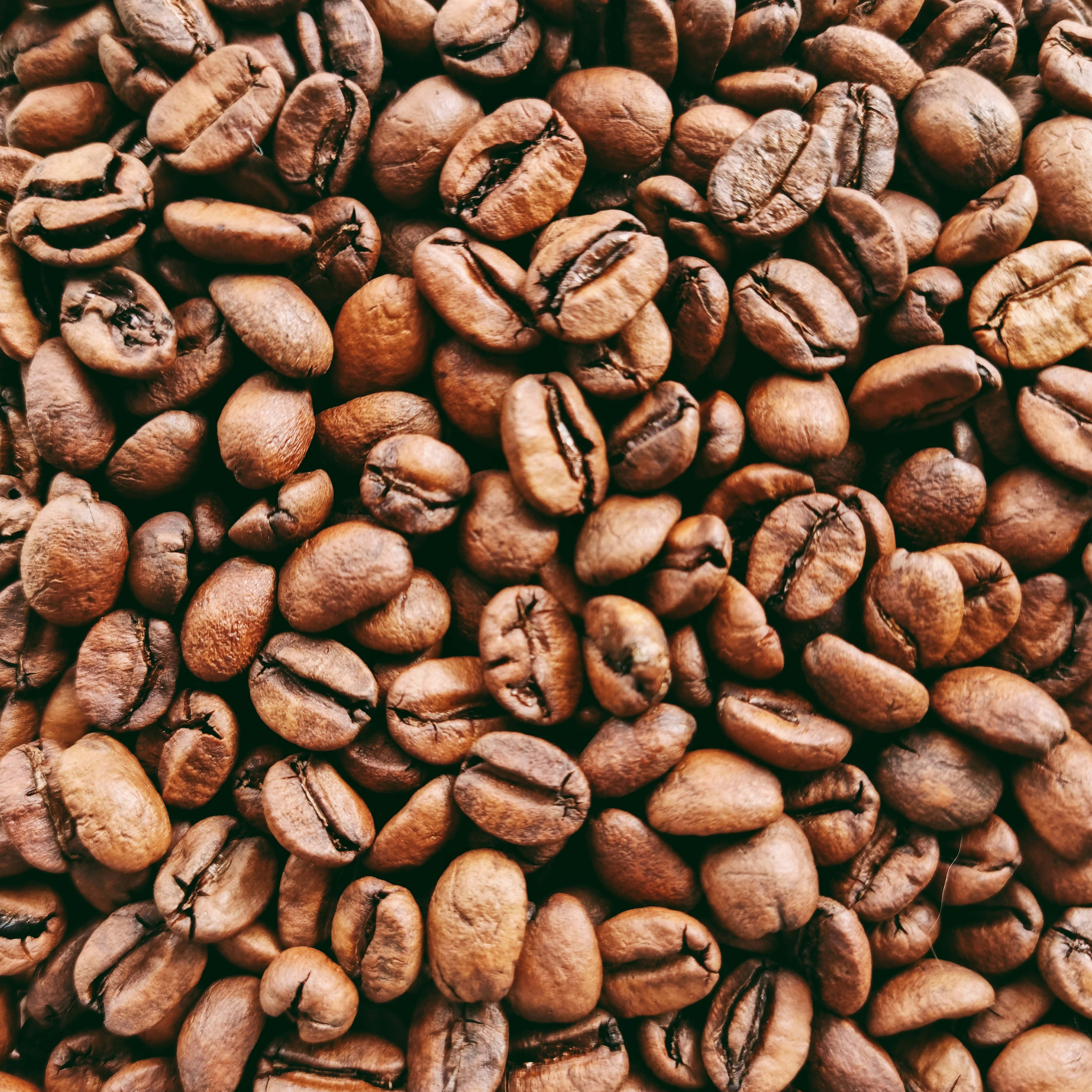 brown coffee beans on black surface