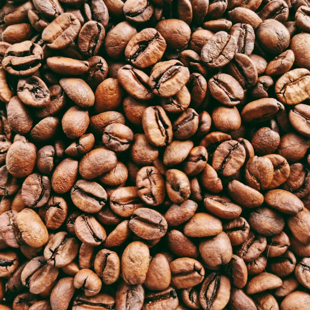 Coffee Extract