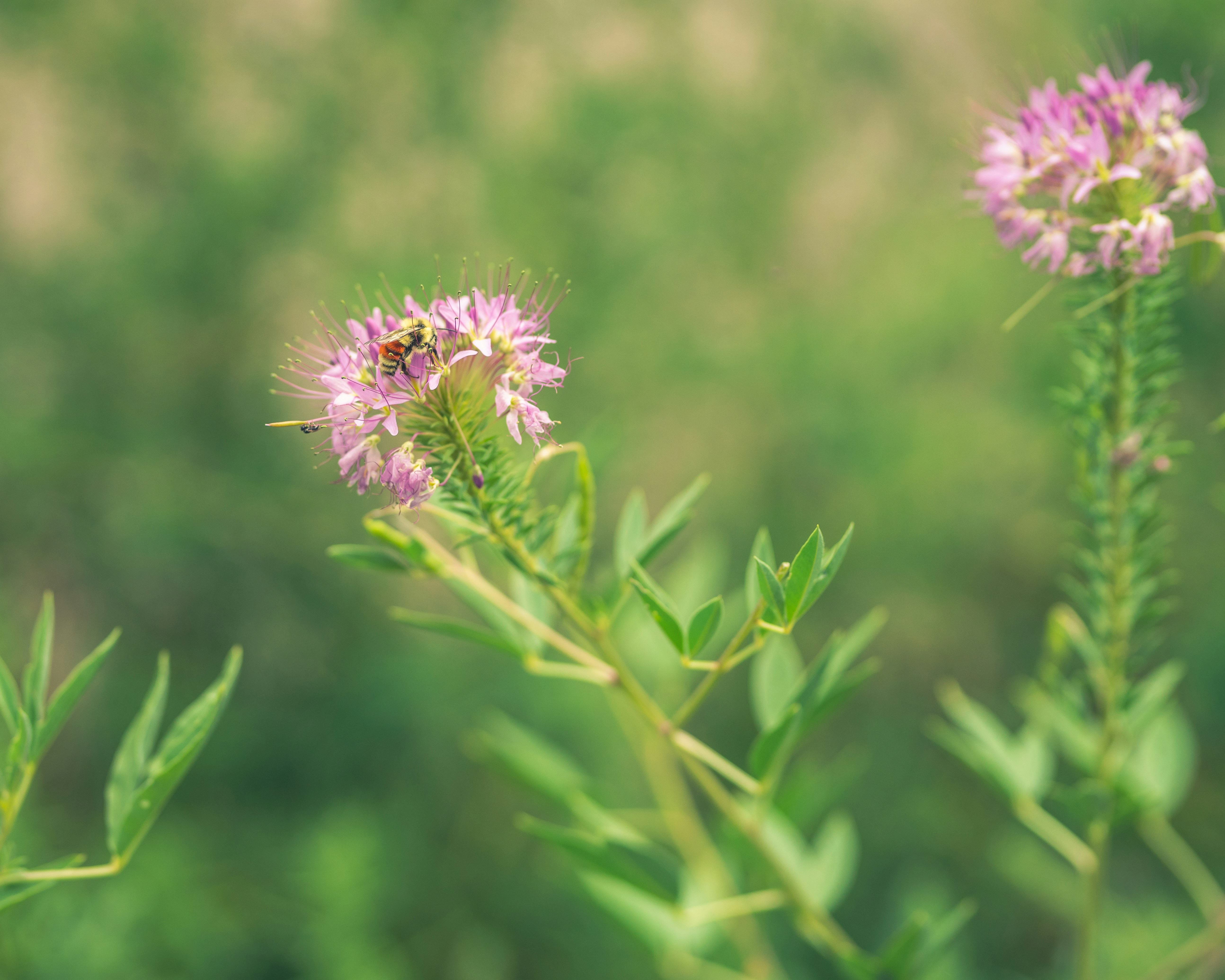 Photo by slownorman2008